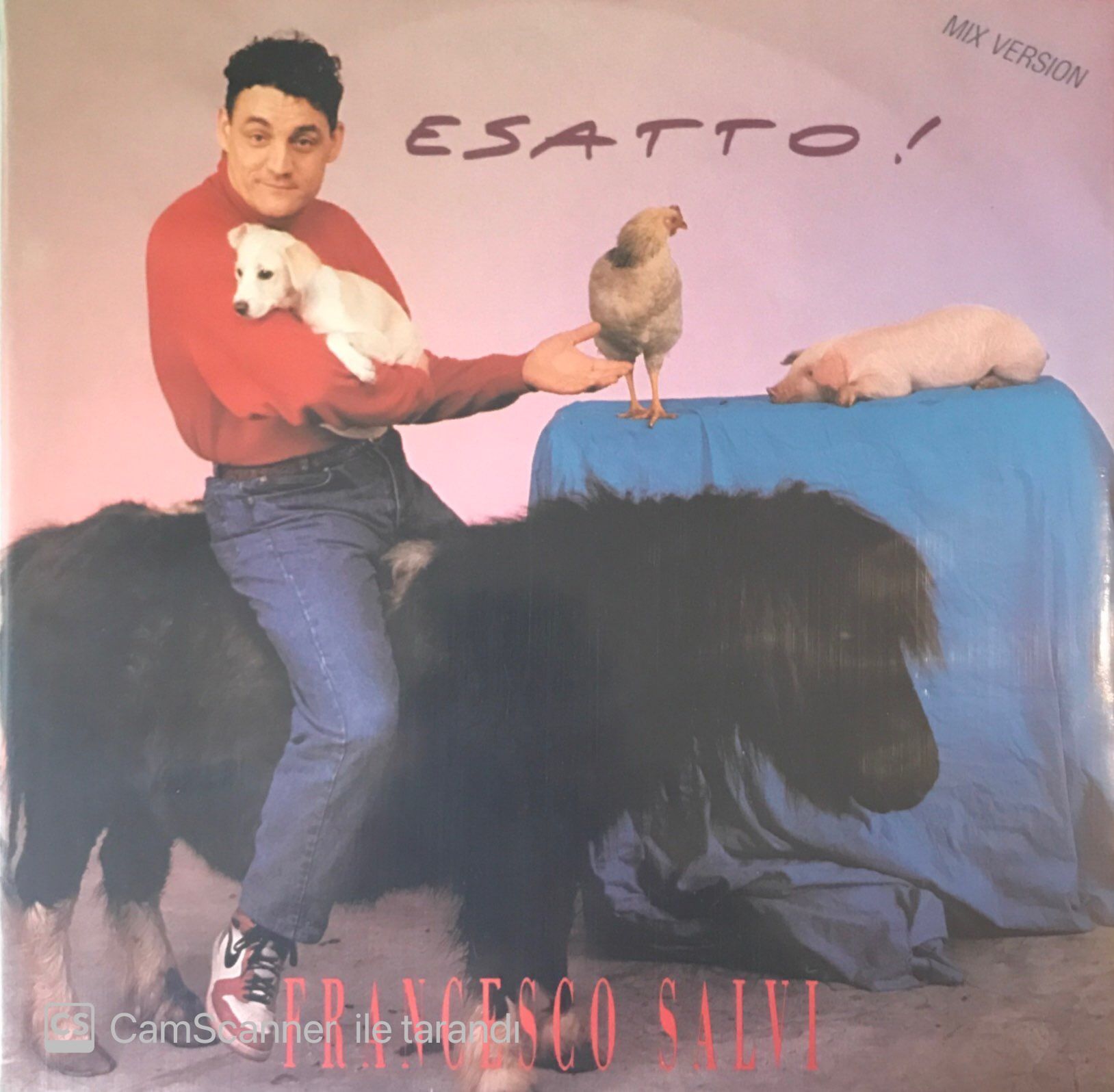 Francesco Salvi - Esatto! Maxi