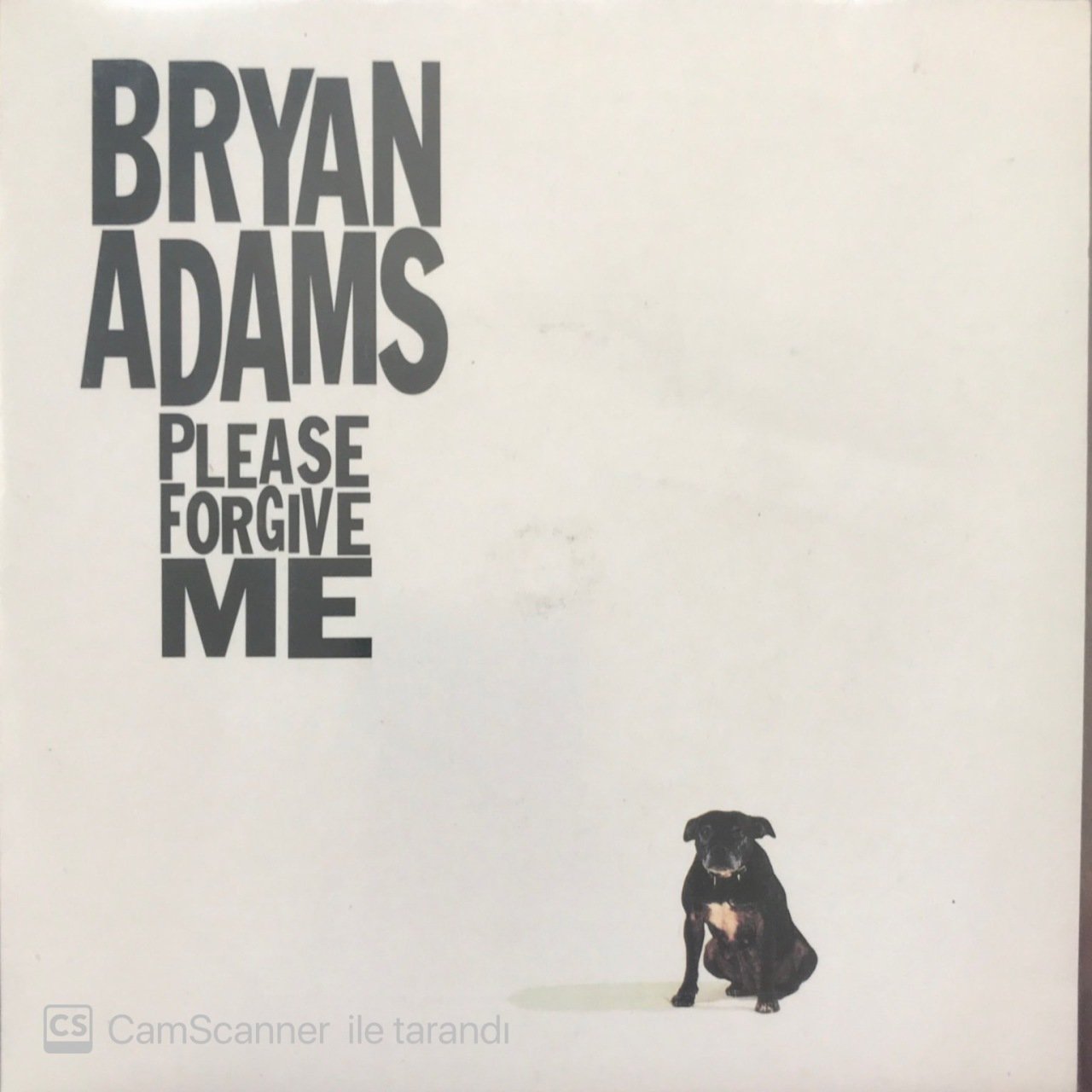 Bryan Adams Please Forgive Me 45lik