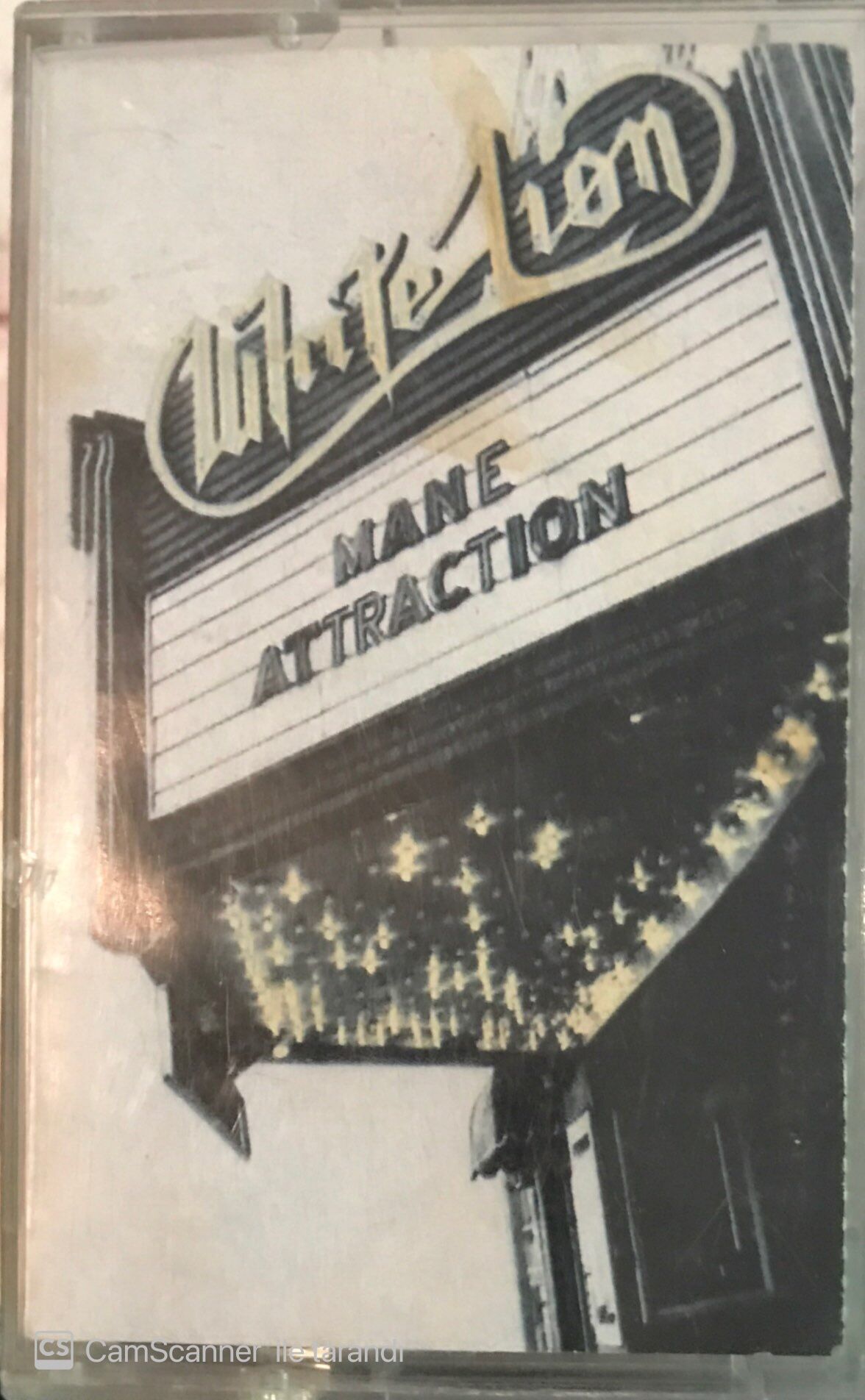 White Lion - Mane Attraction KASET