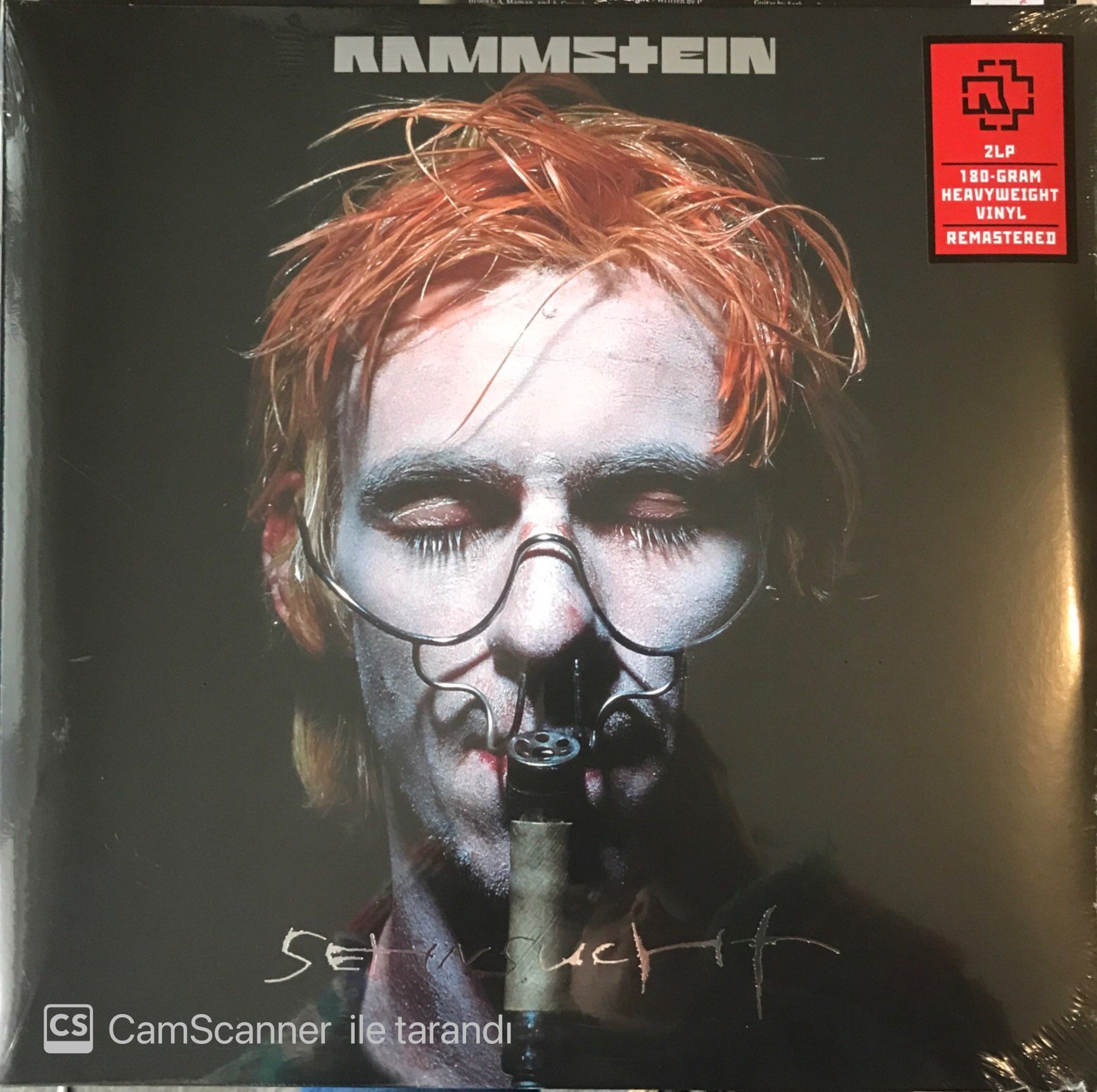 Rammstein Sehnsucht Double LP