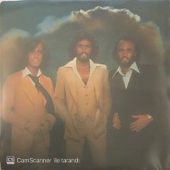 Bee Gees Too Much Heaven 45lik