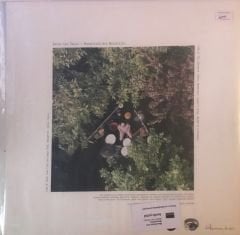 Berkecan Özcan Mountains Are Mountains LP