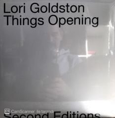 Lori Goldston Things Opening LP