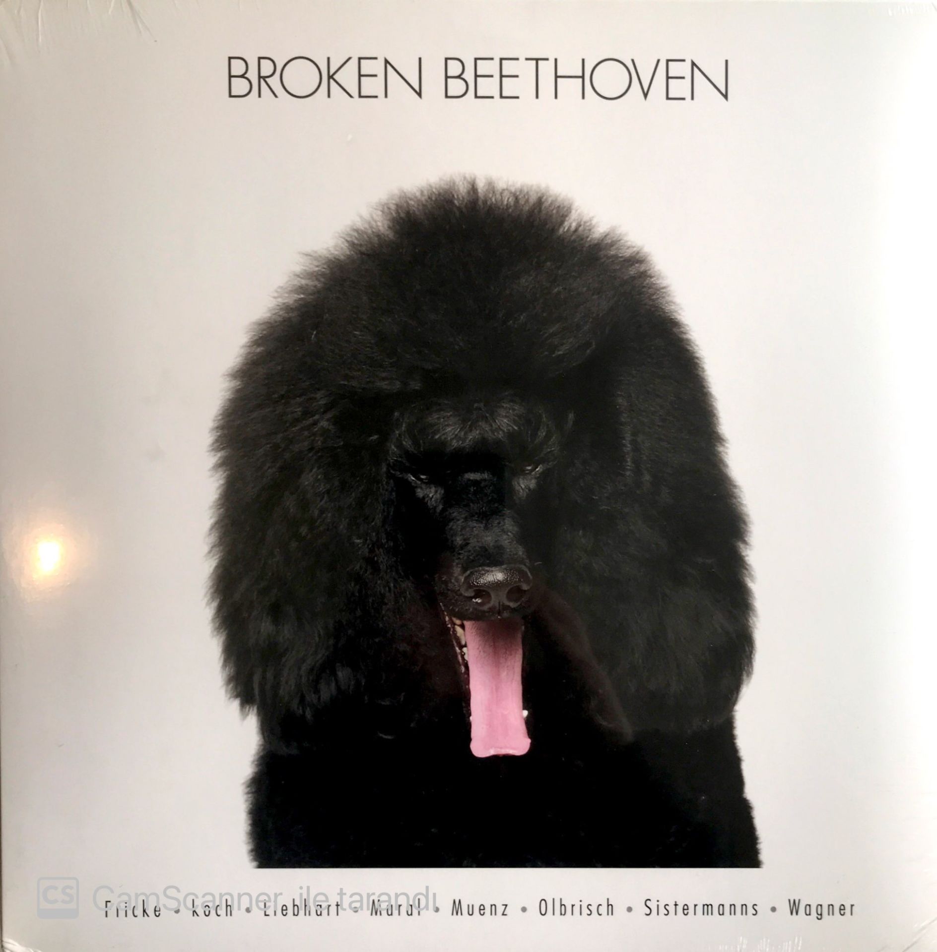 Broken Beethoven LP