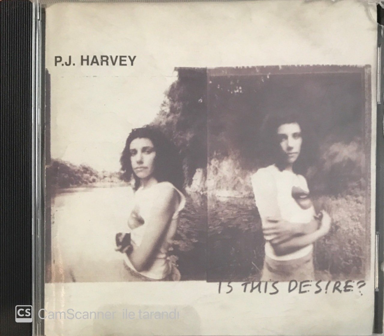 P.J. Harvey Is This Desire? CD