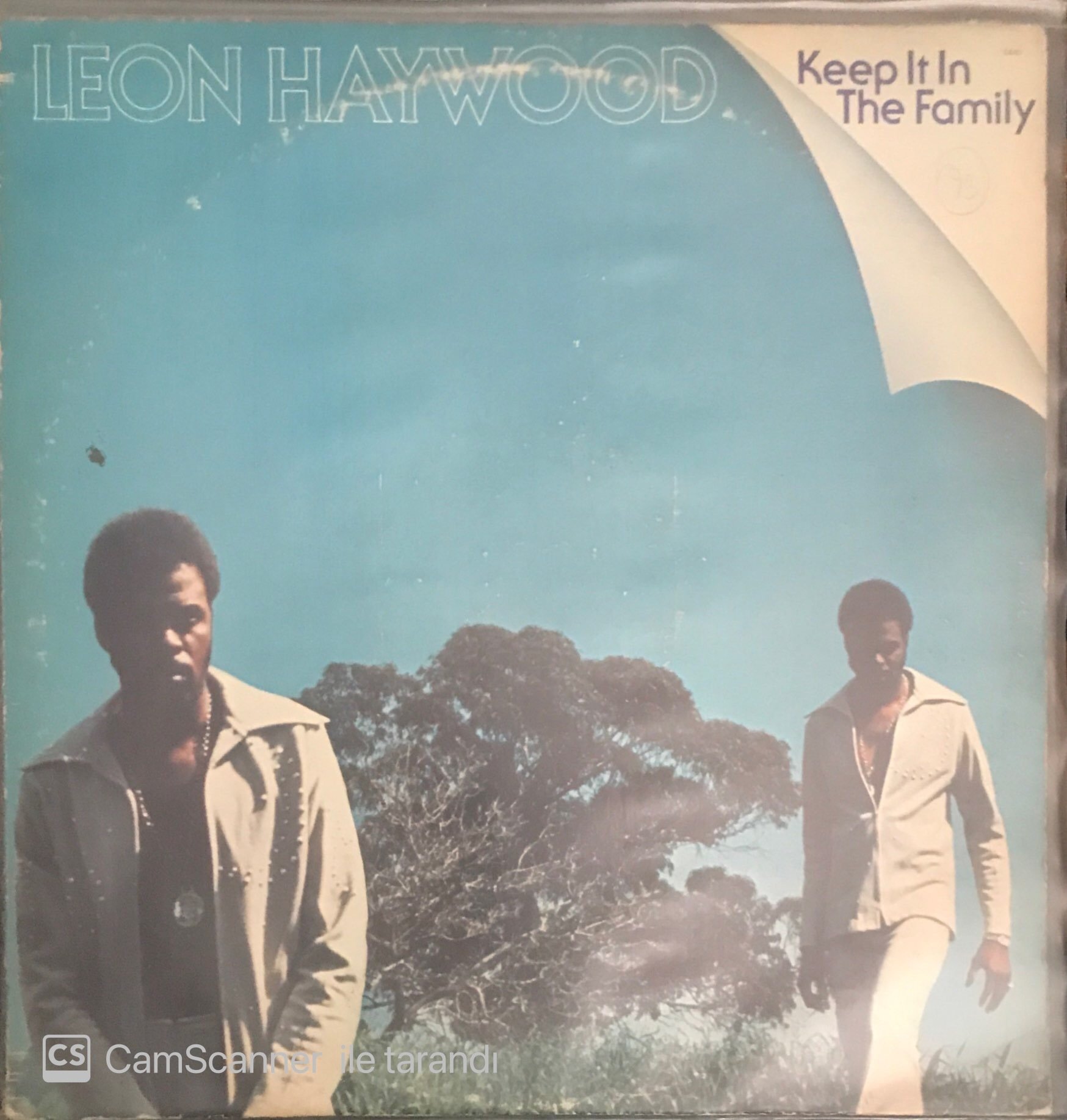 Leon Haywood Keep It In The Family LP