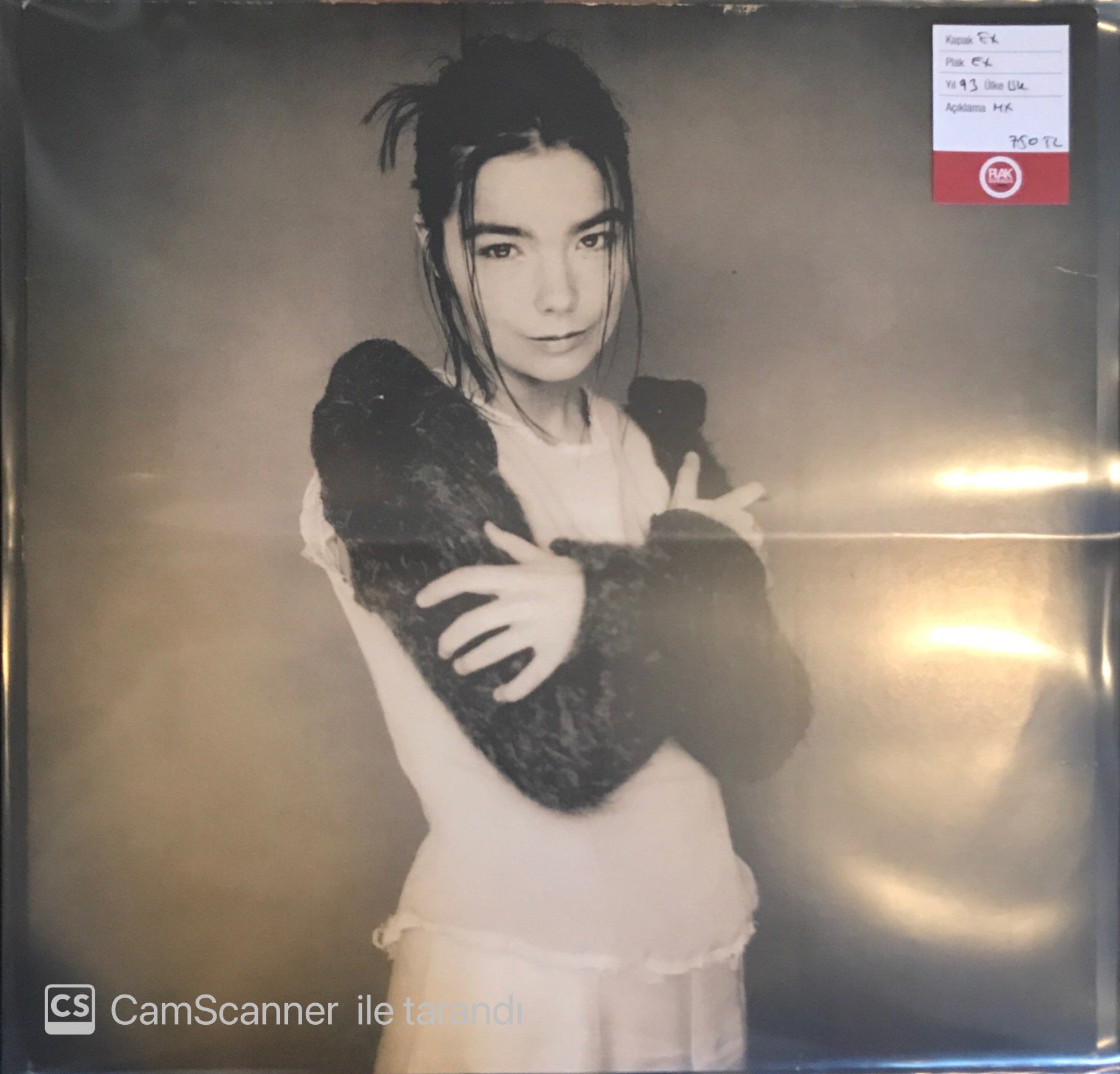 Björk - Human Behaviour  12'' Maxi Single