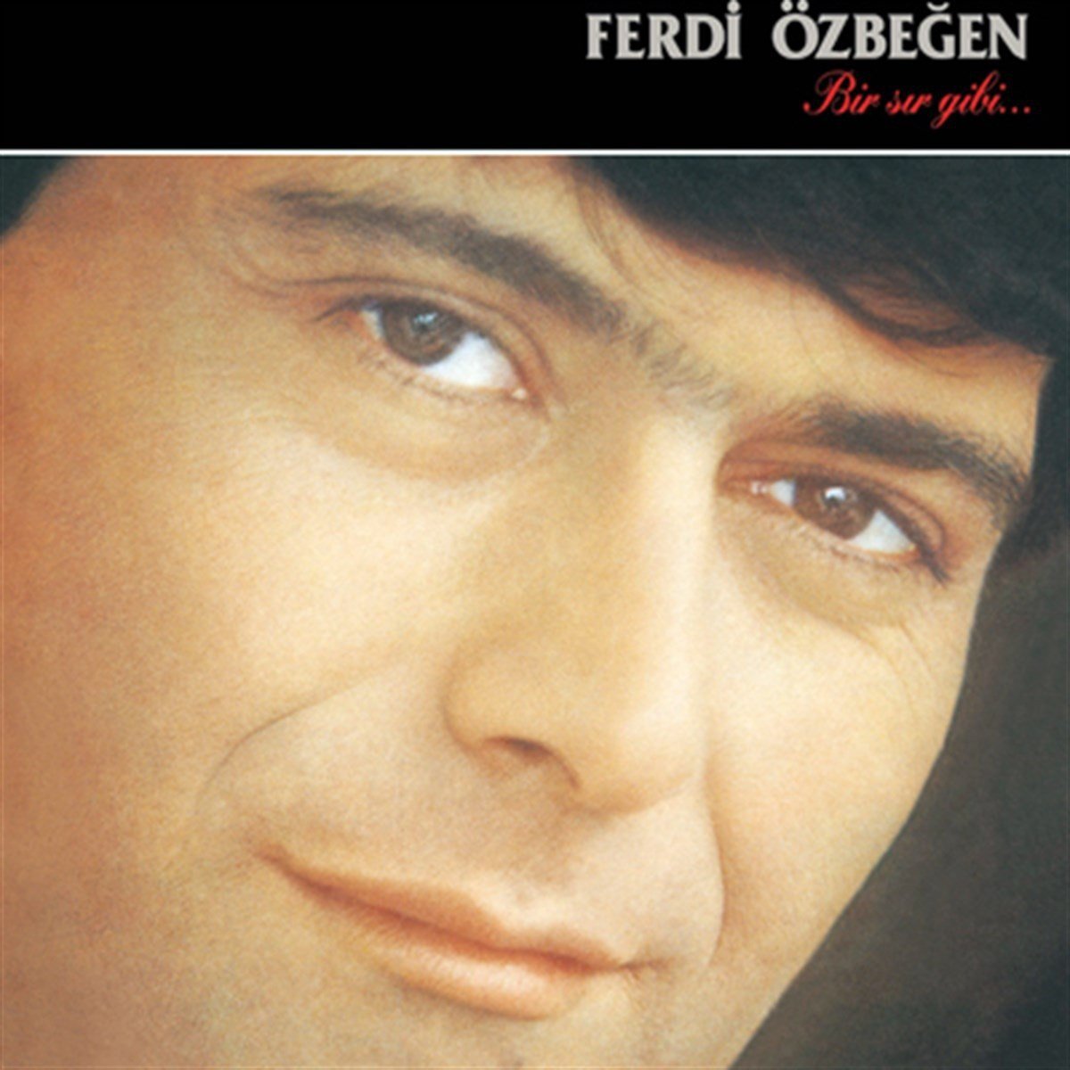 Ferdi Özbeğen Bir Sır Gibi LP