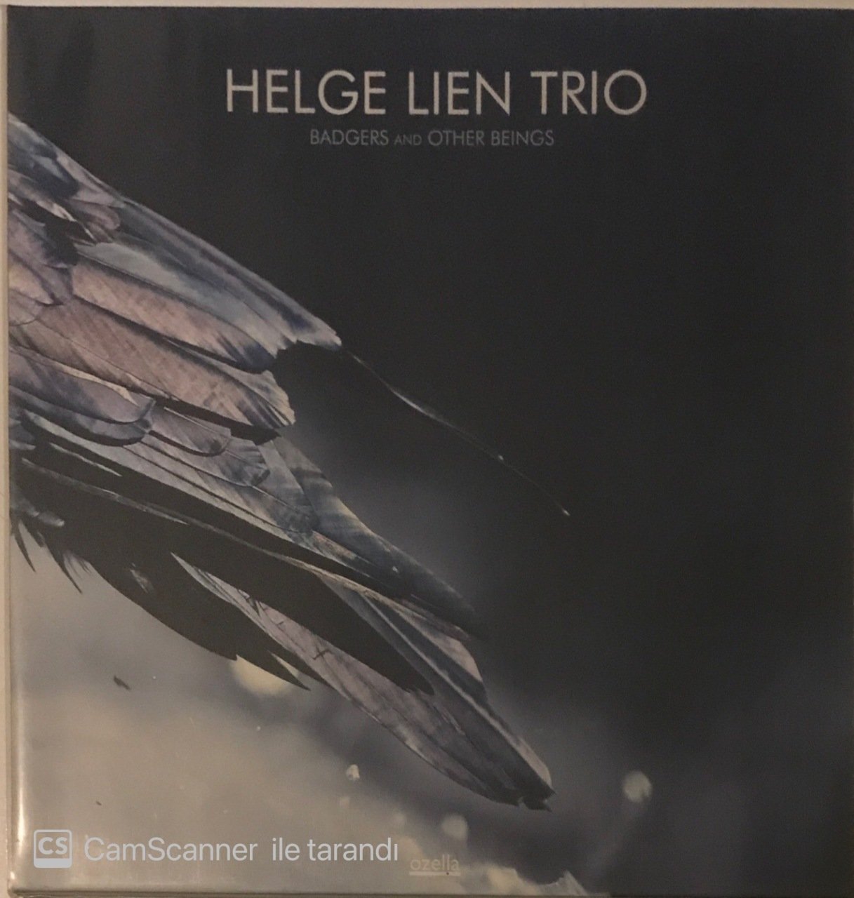 Helge Lien Trio Badgers And Other Beings LP