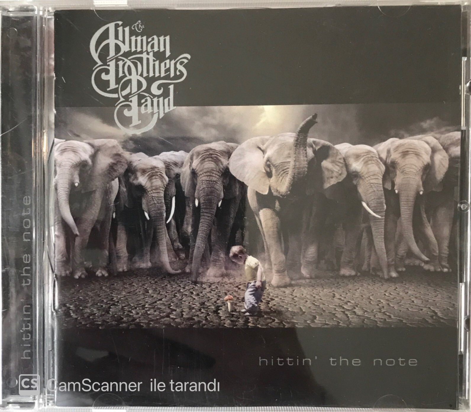 The Allman Brothers Band - Hittin' The Note CD