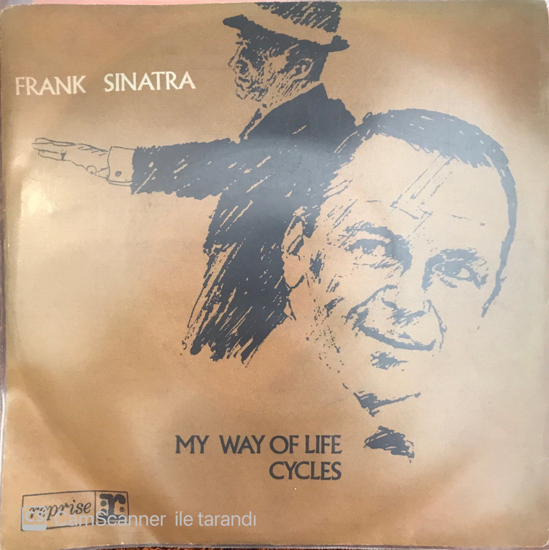 Frank Sinatra My Way Of Life 45 lik