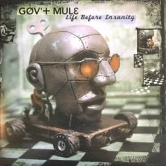 Gov't Mule Life Before Insanity Çift LP