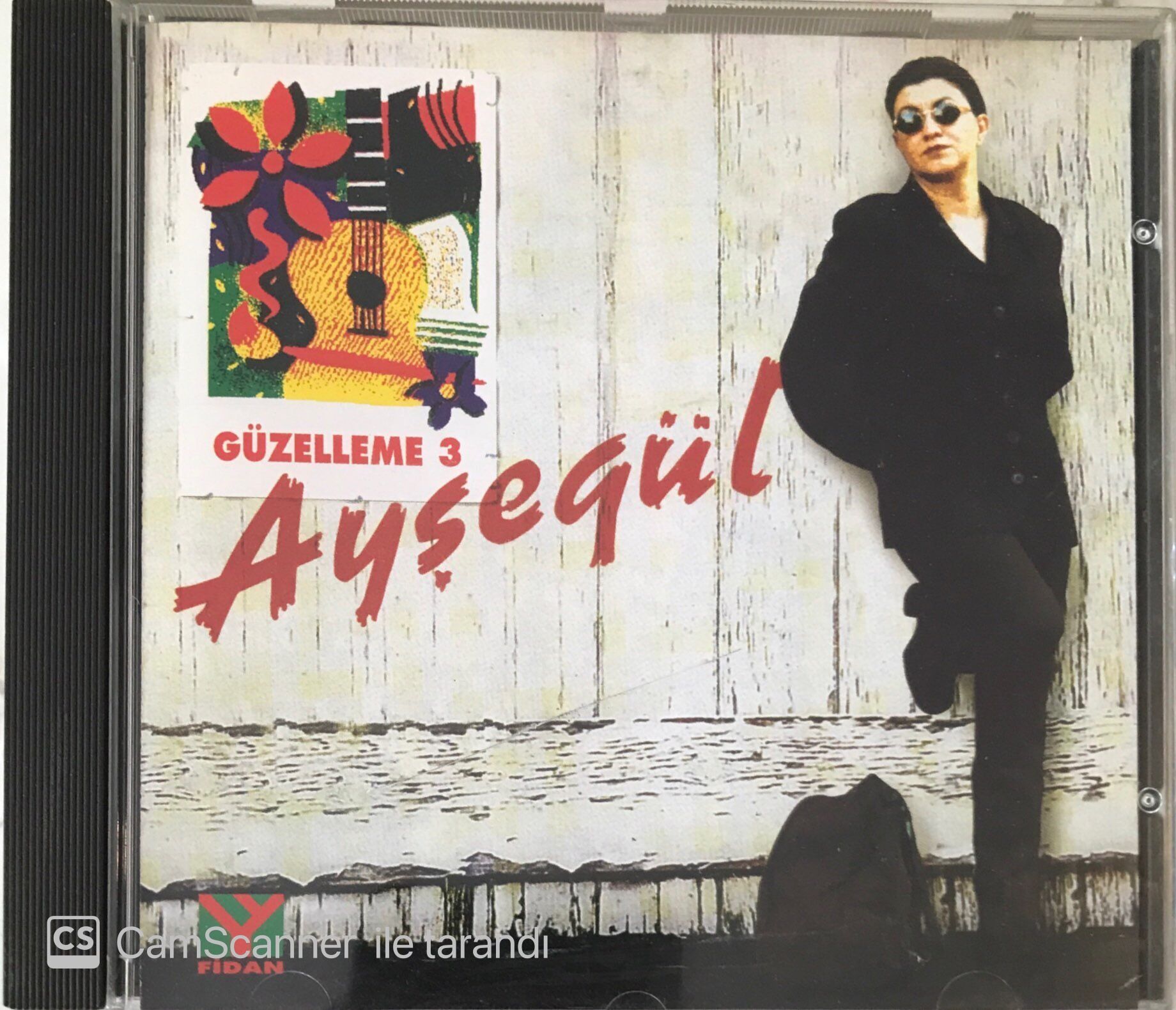 Ayşegül - Güzelleme 3 CD