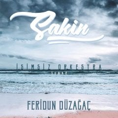 Feridun Düzağaç Sakin LP