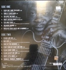 B.B. King King Of The Blues LP