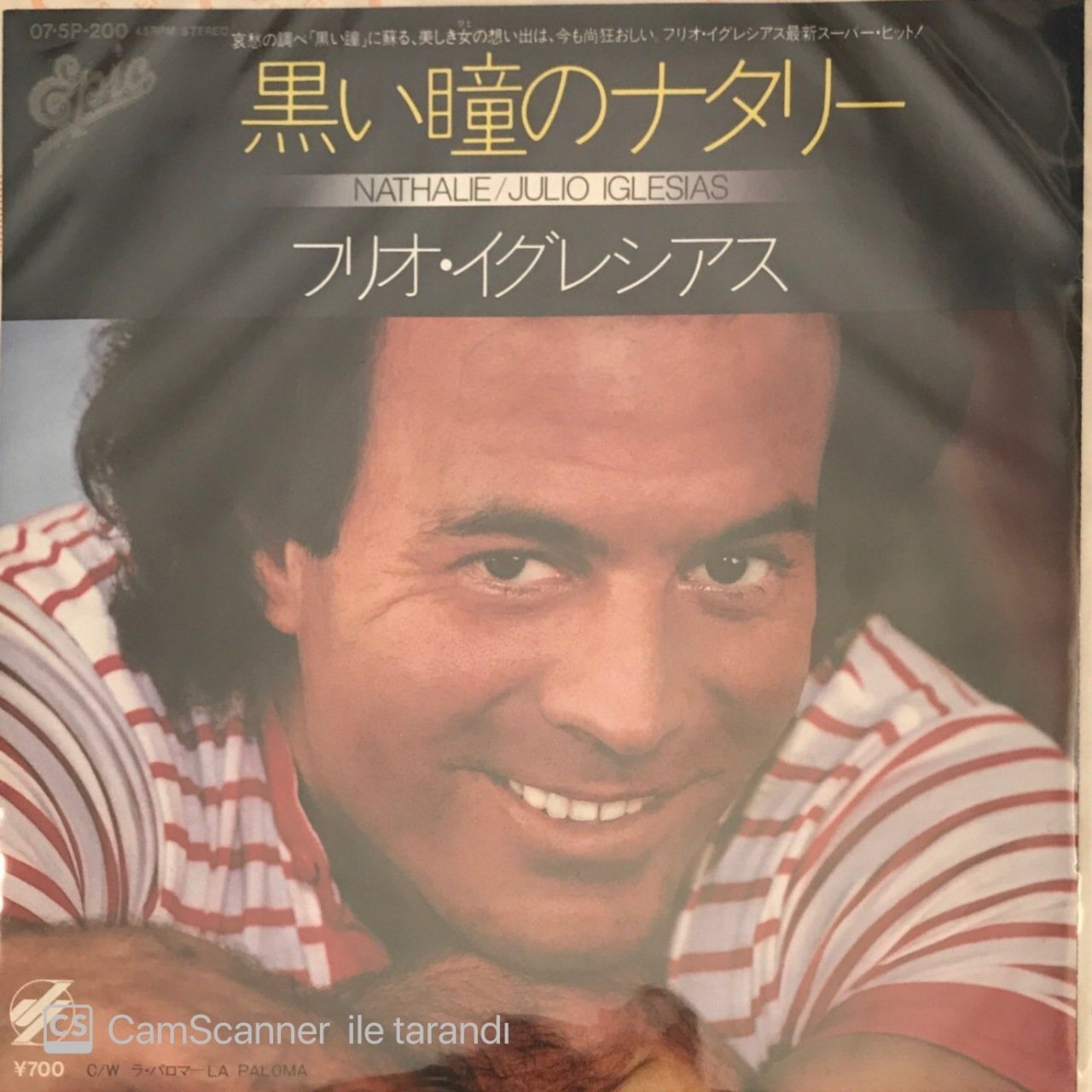 Julio Iglesias Nathalie Japon Baskı 45lik