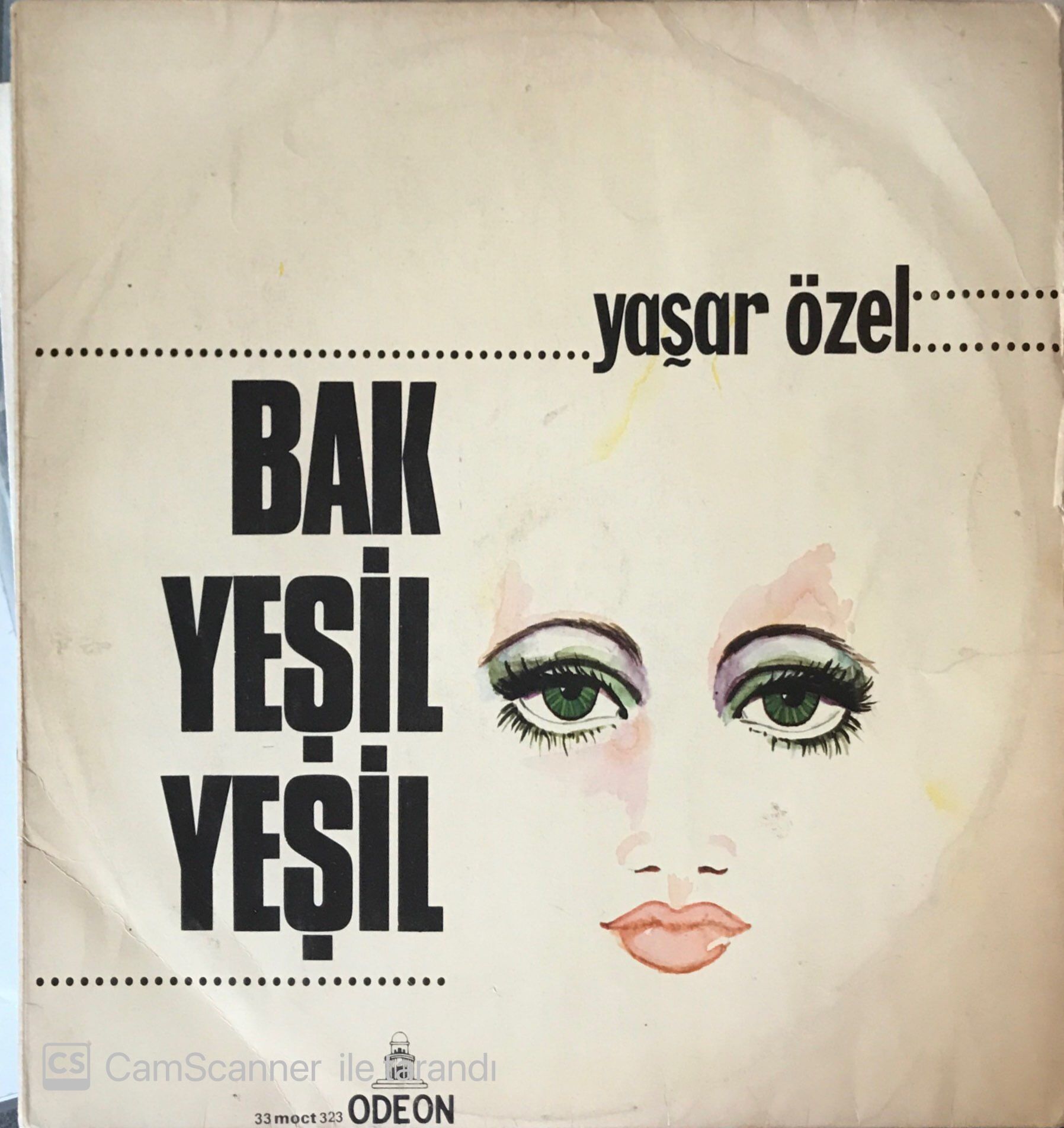 Yaşar Özel Bak Yeşil Yeşil LP