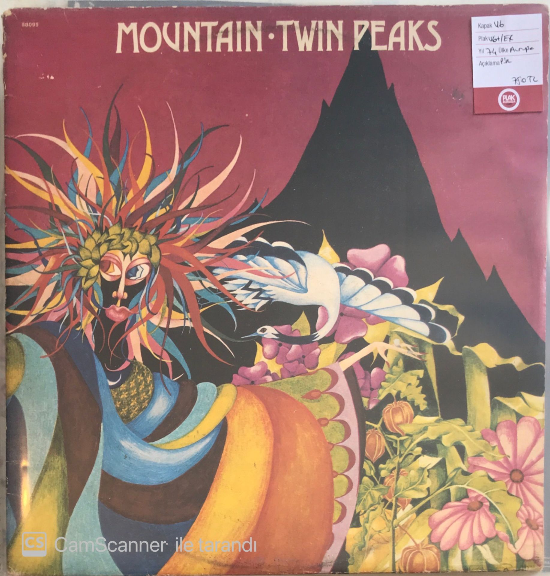 Mountain - Twin Peaks Double LP