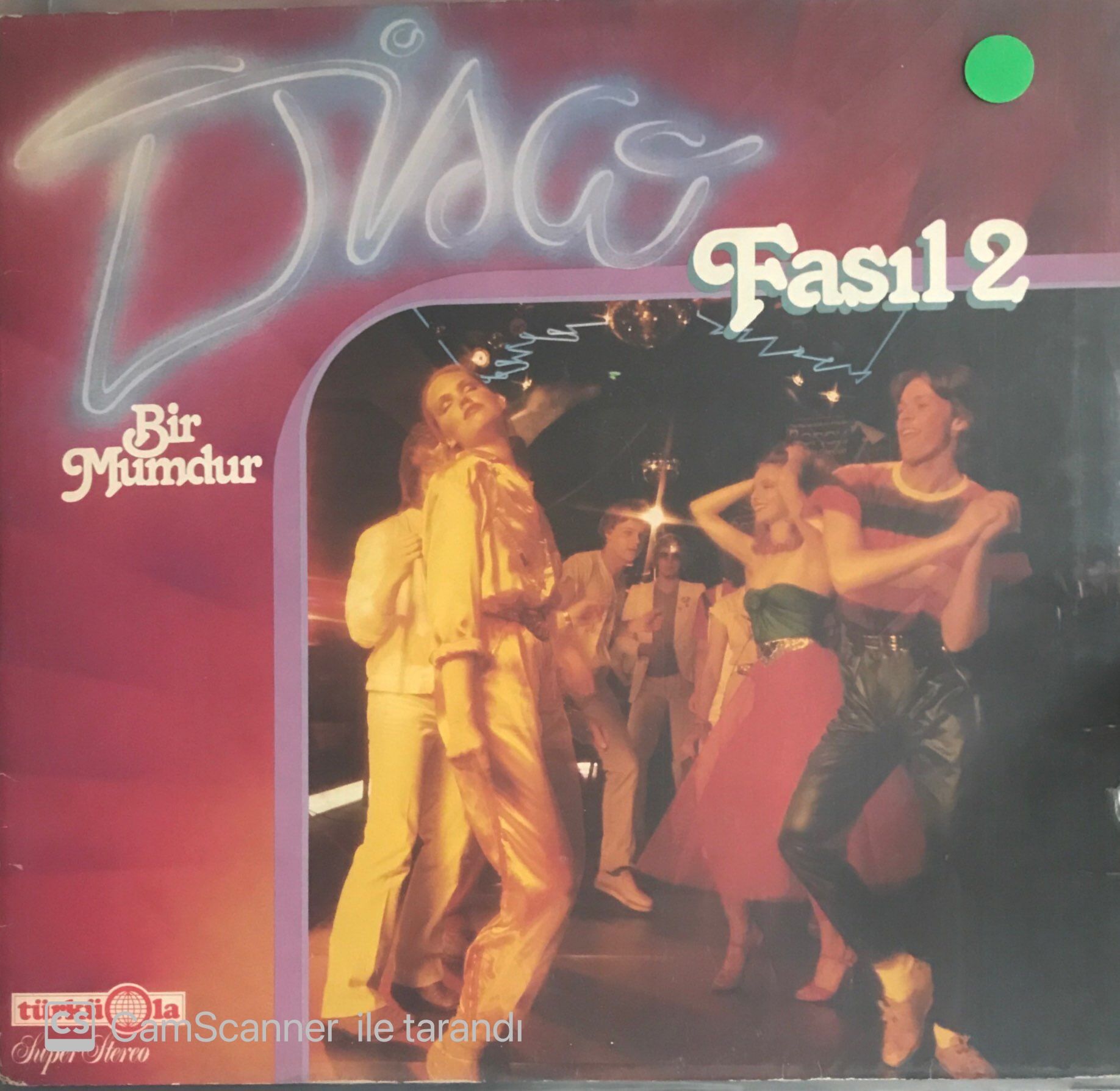 Disco Fasıl 2 LP (Türküola Baskı)