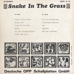 Snake In The Grass LP