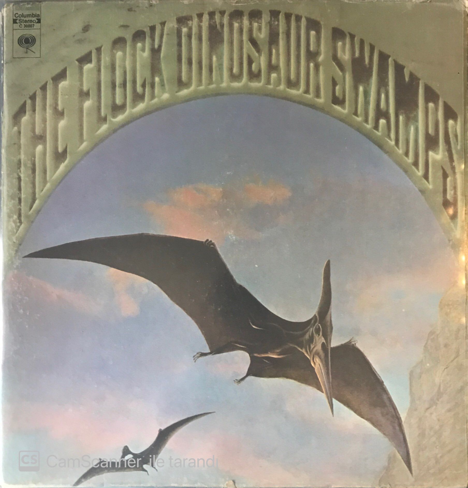 The Flock - Dinosaur Swamps LP