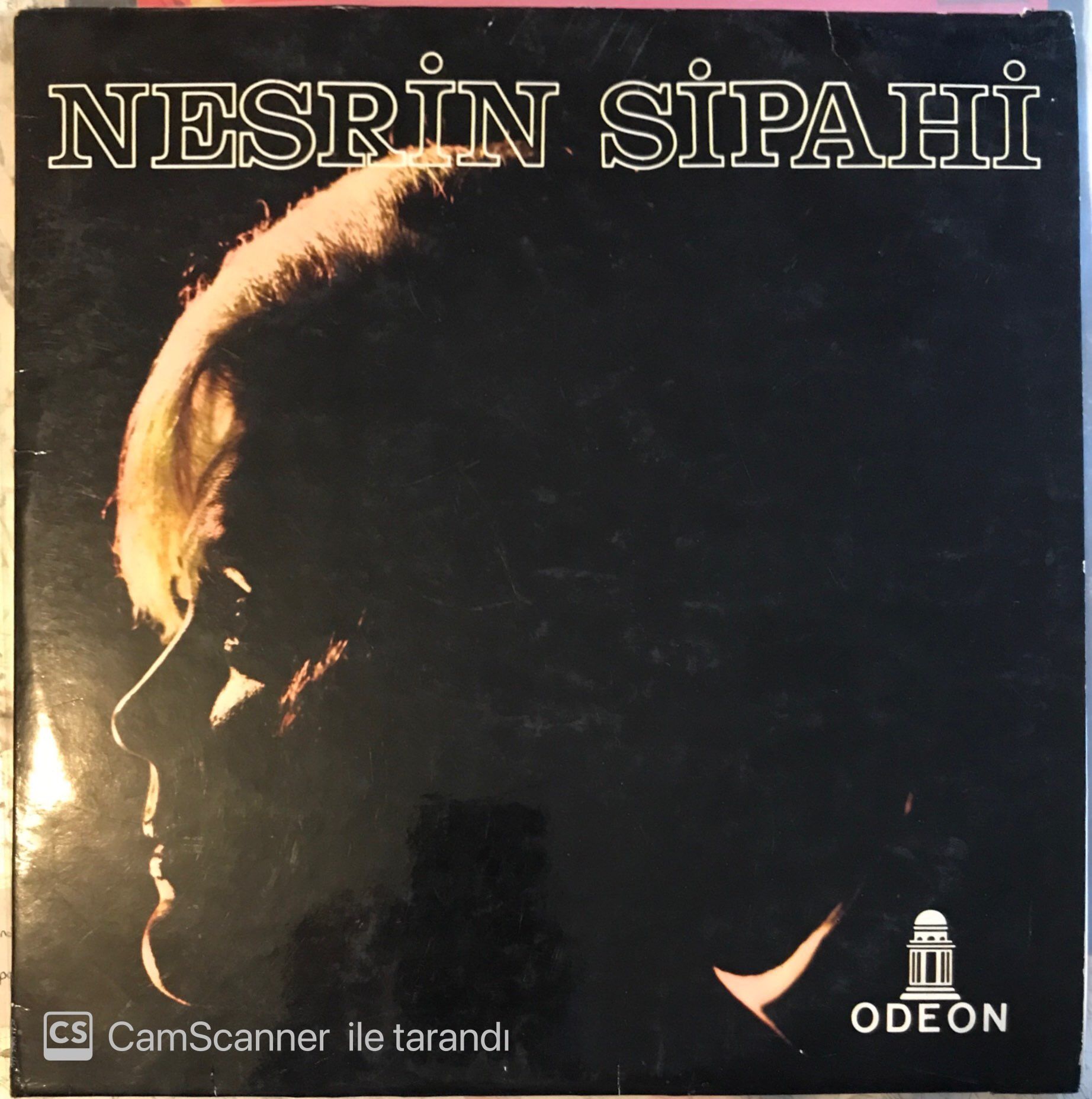 Nesrin Sipahi - Seninle Bir Sonbahar LP