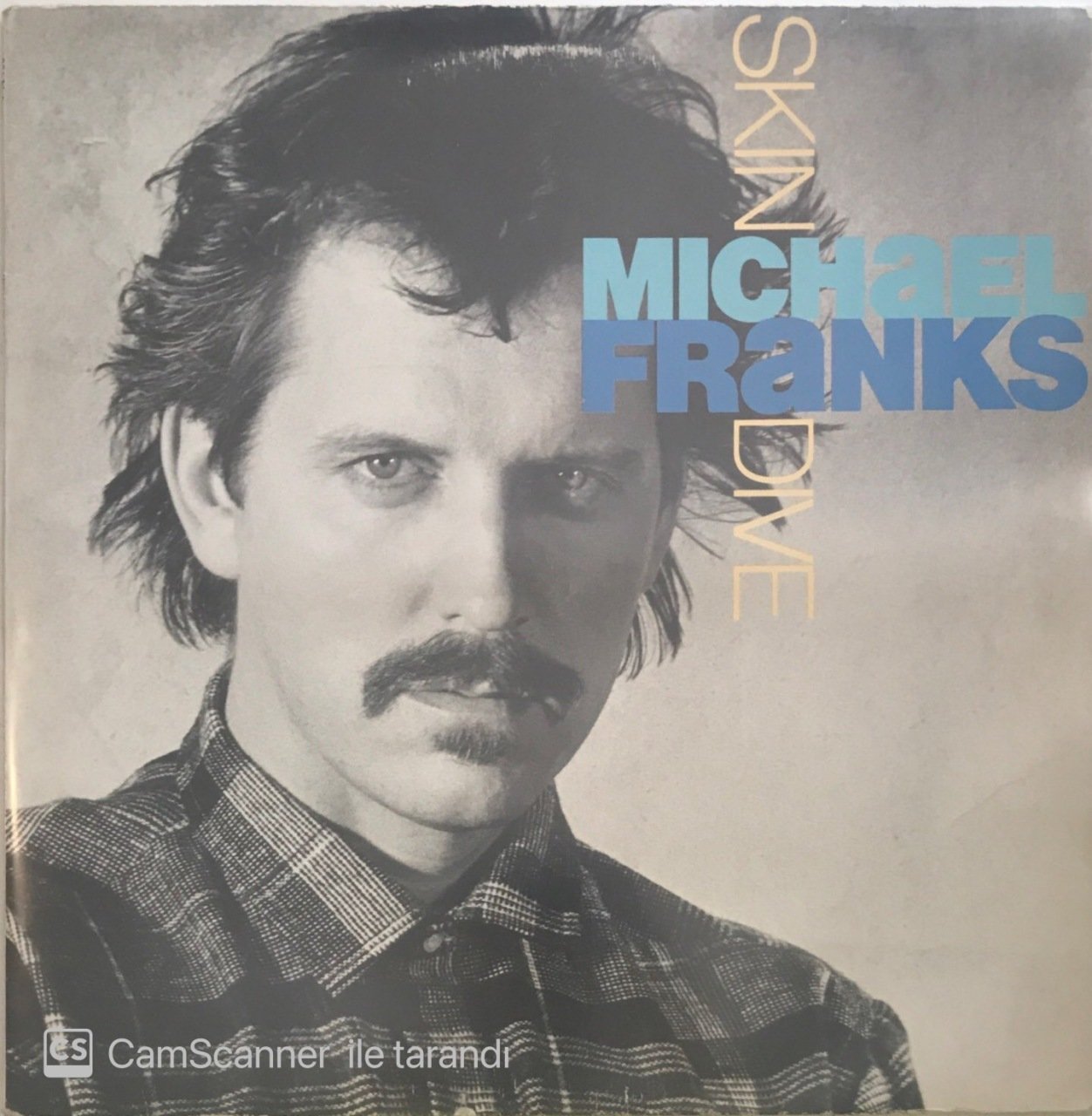 Michael Franks Skin Dive LP