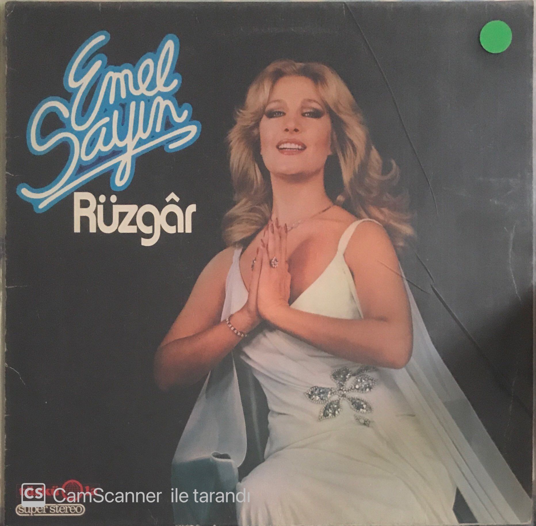 Emel Sayın / Rüzgar LP