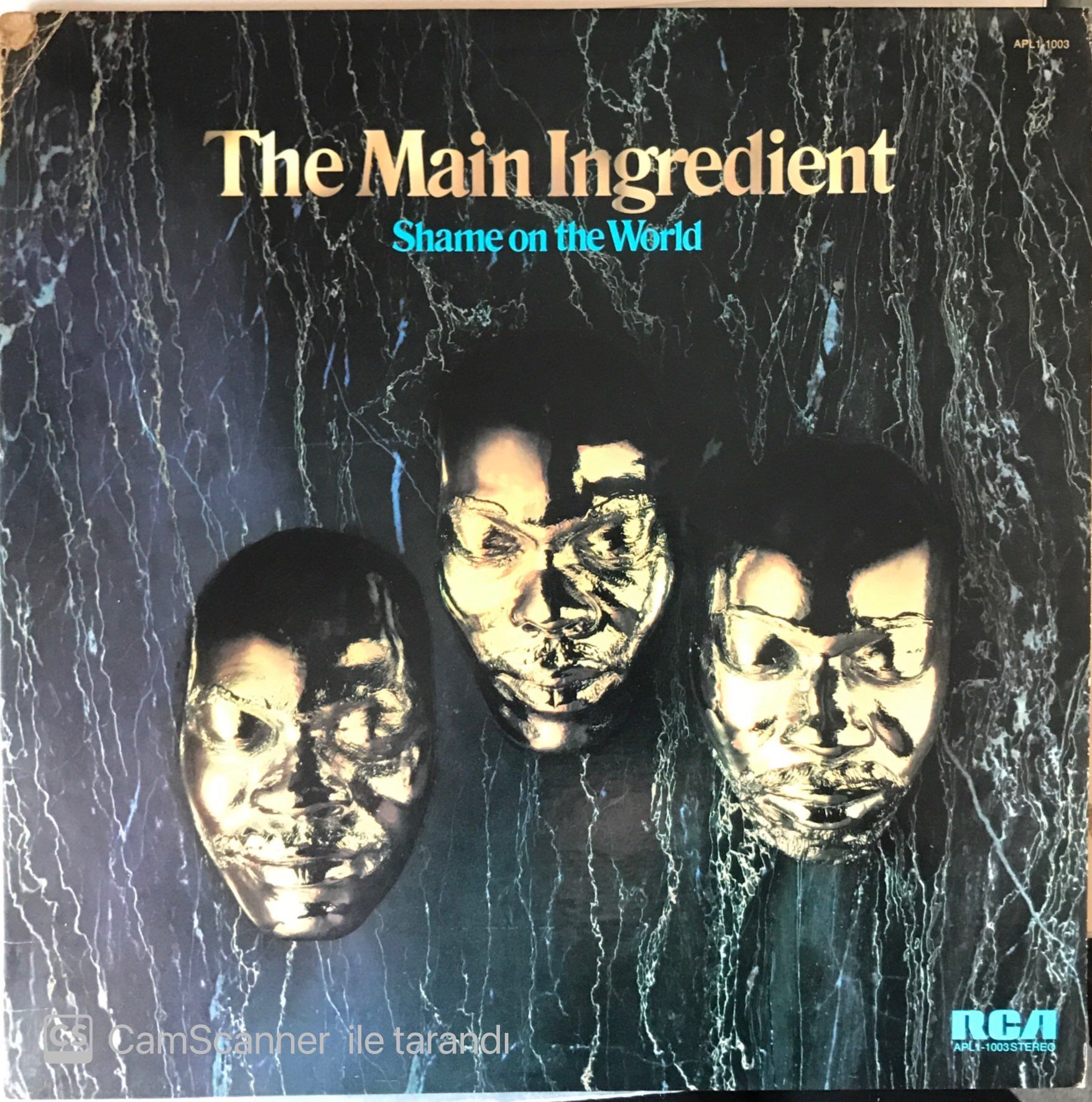 The Main Ingredient - Shame On The World LP