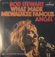 Rod Stewart What Made Milwaukee Famous 45lik