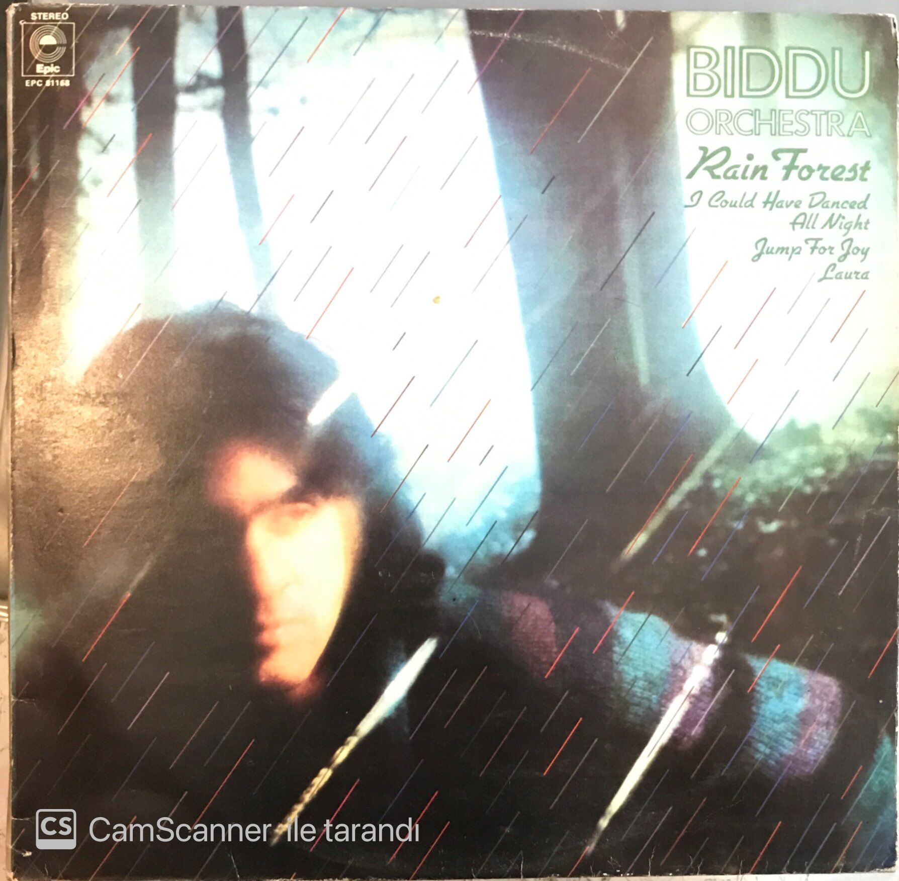 Biddu Orchestra - Rain Forest LP