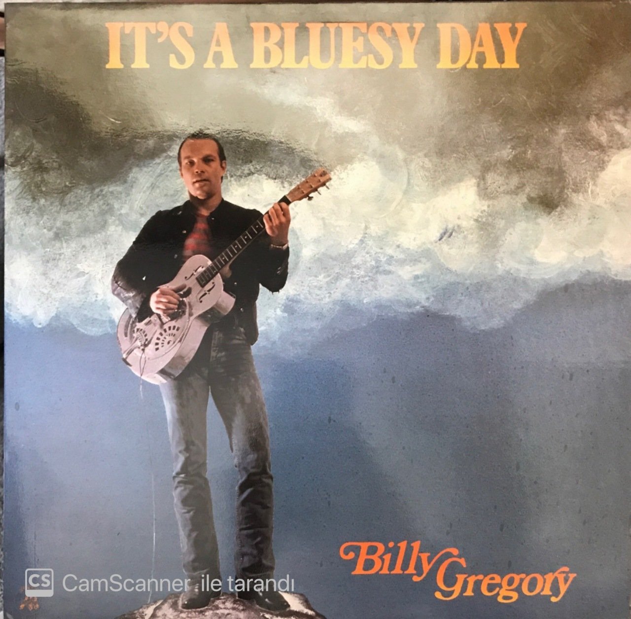 Billy Gregory It's A Bluesy Day LP