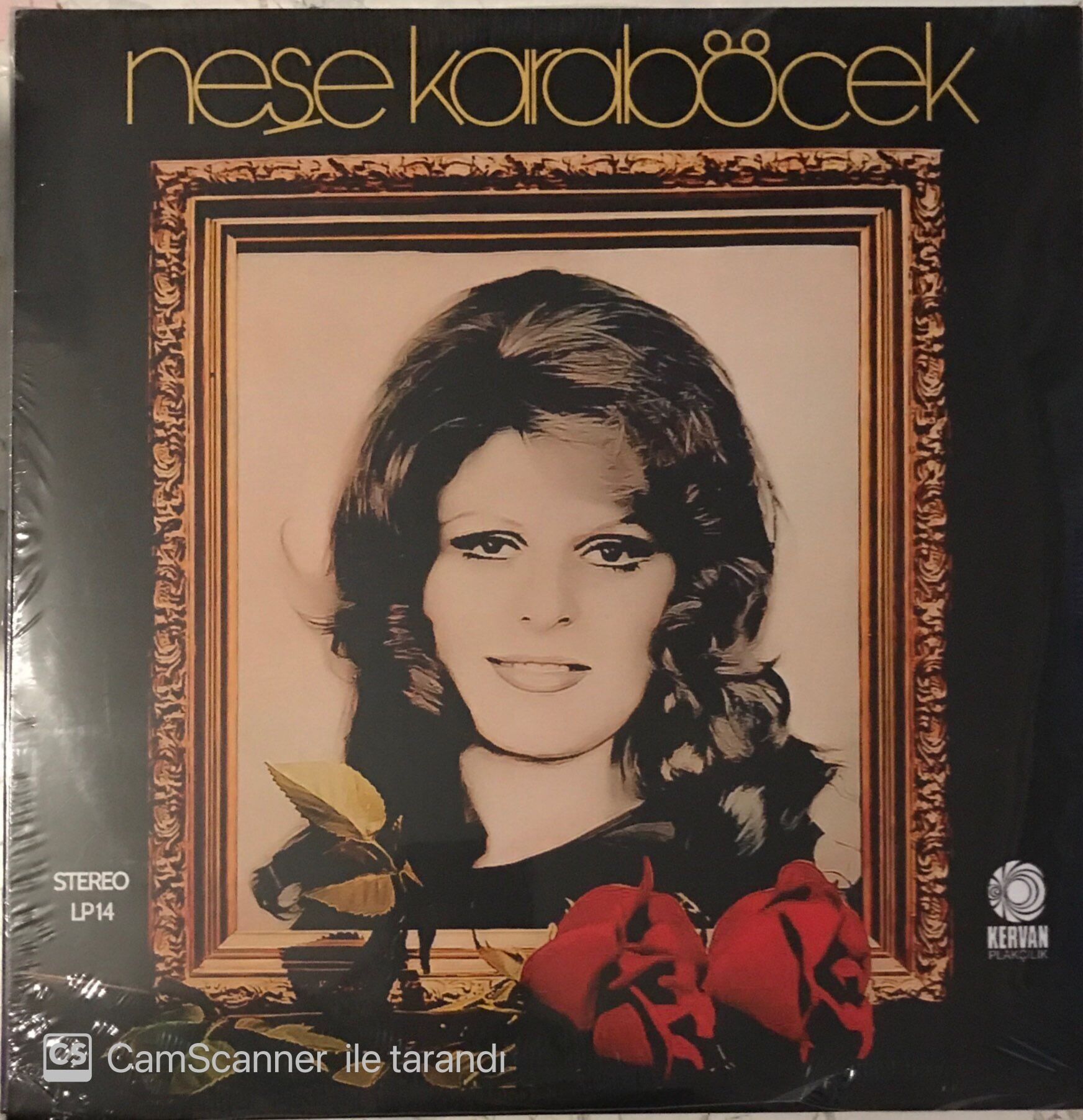 Neşe Karaböcek - Ümidini Kirpiklerine LP