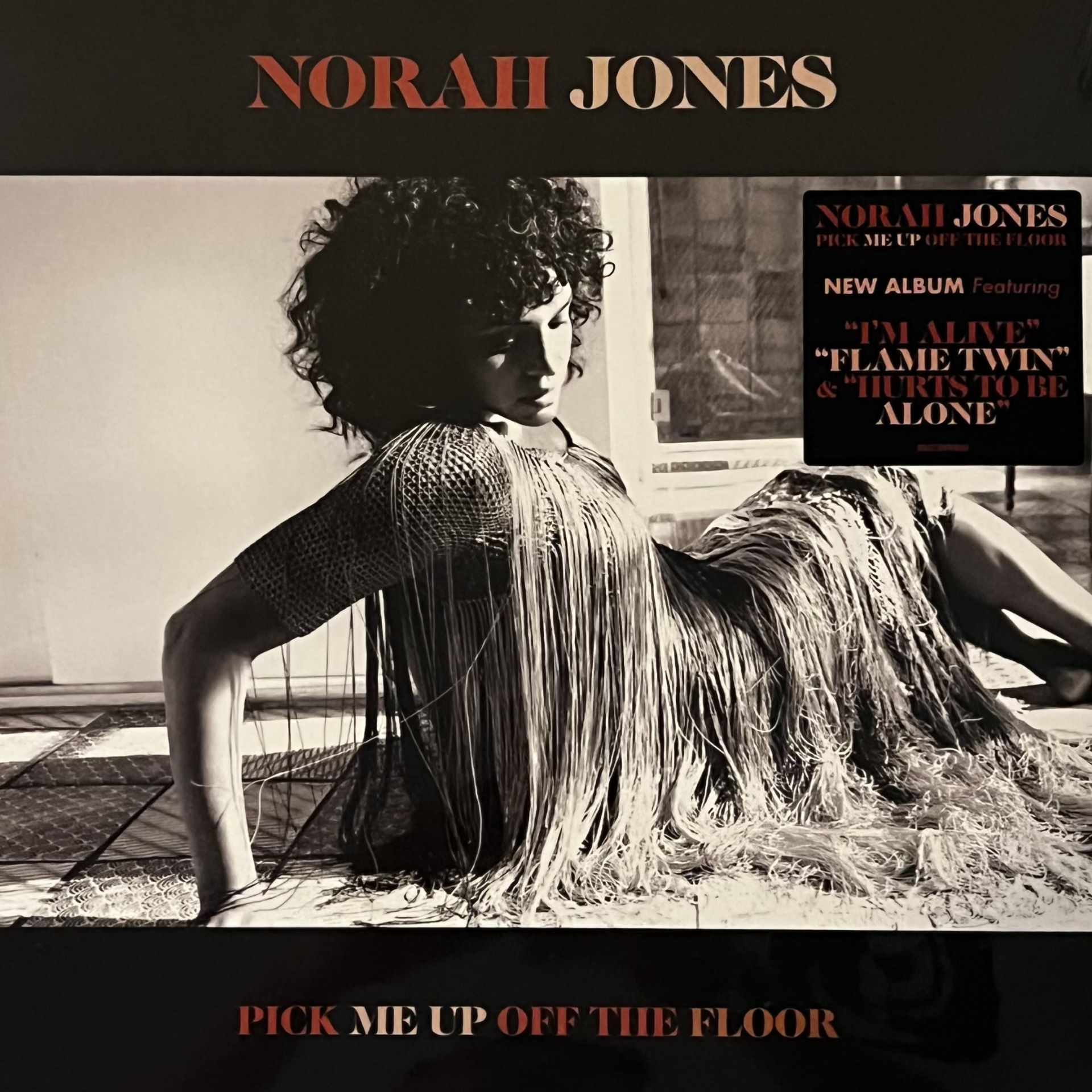 Norah Jones - Pick Me Up Off The Floor LP