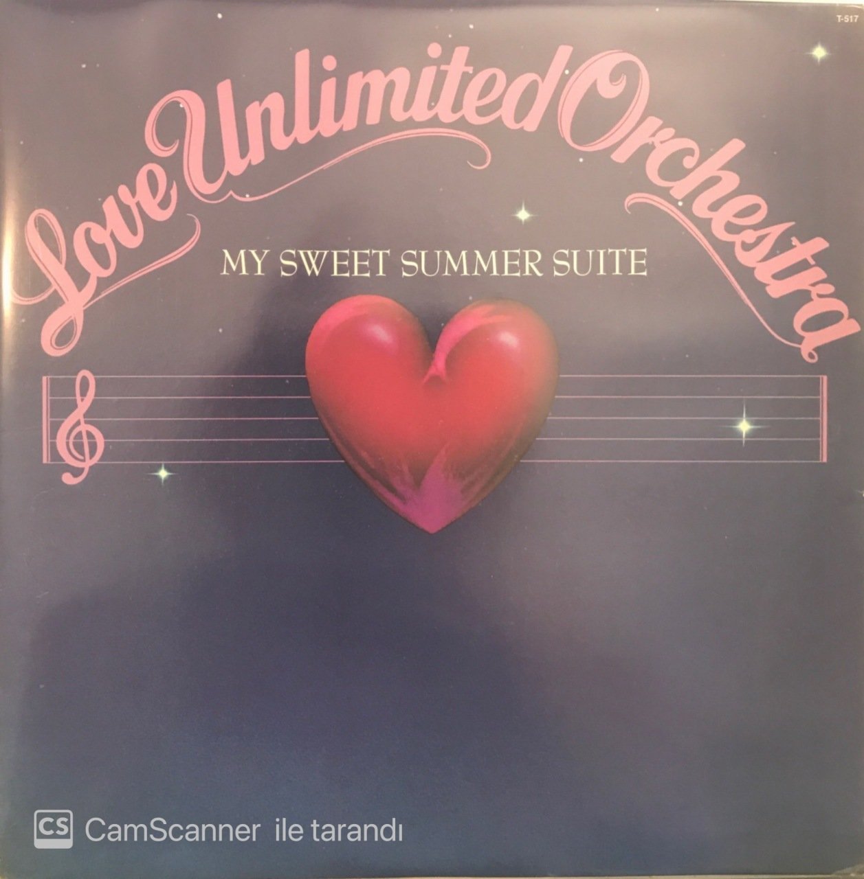 Love Unlimited Orchestra / My Sweet Summer Suit LP