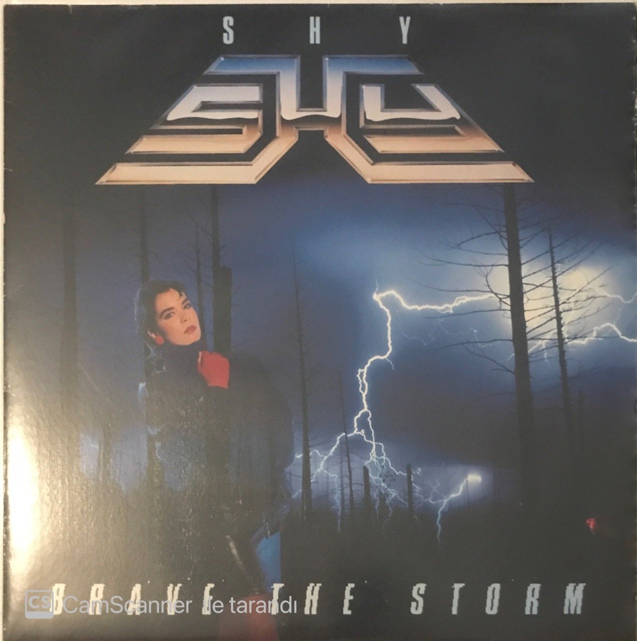 Shy Brave The Storm LP