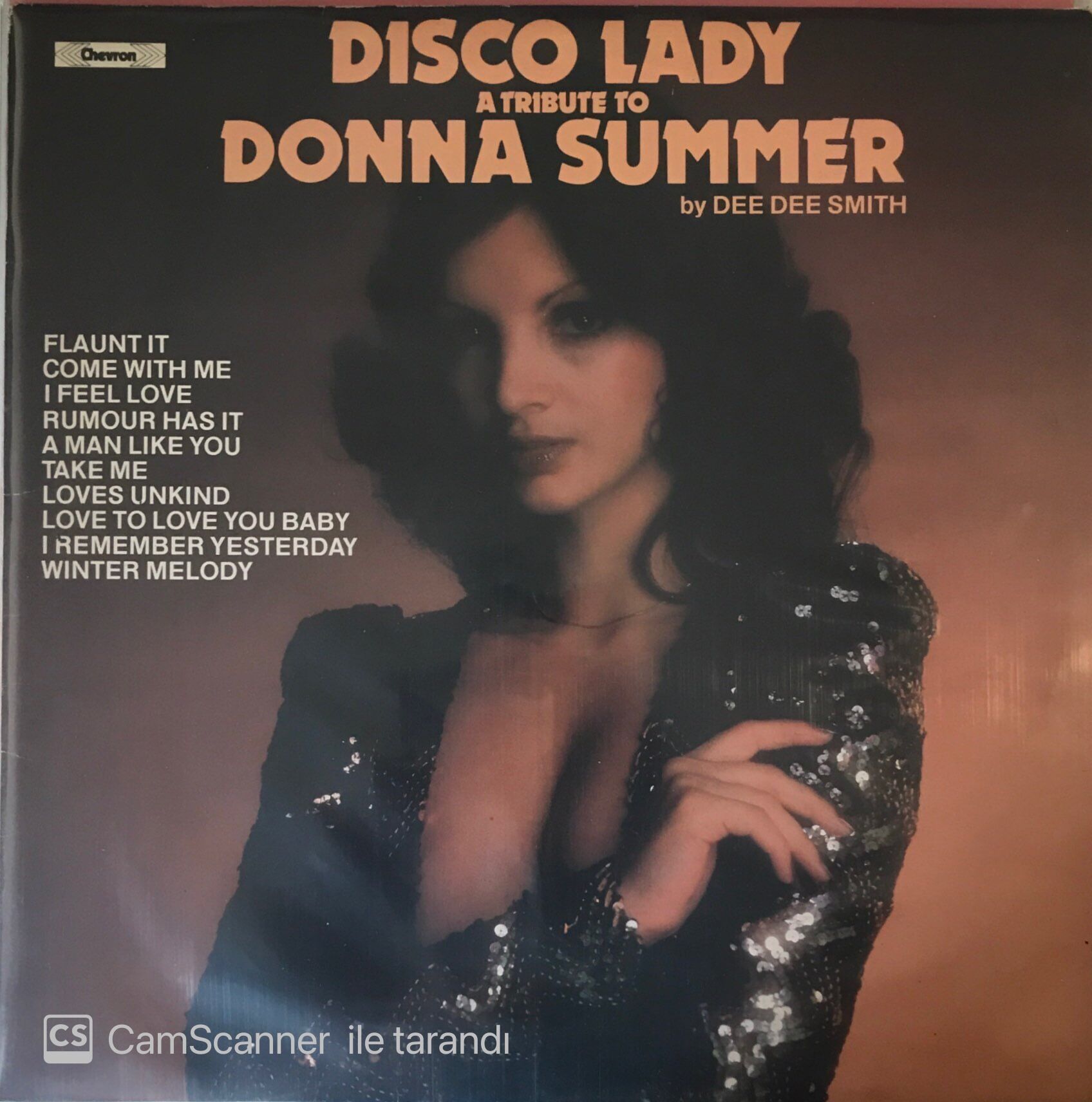 Dısco Lady A Trıbute To Donna Summer LP