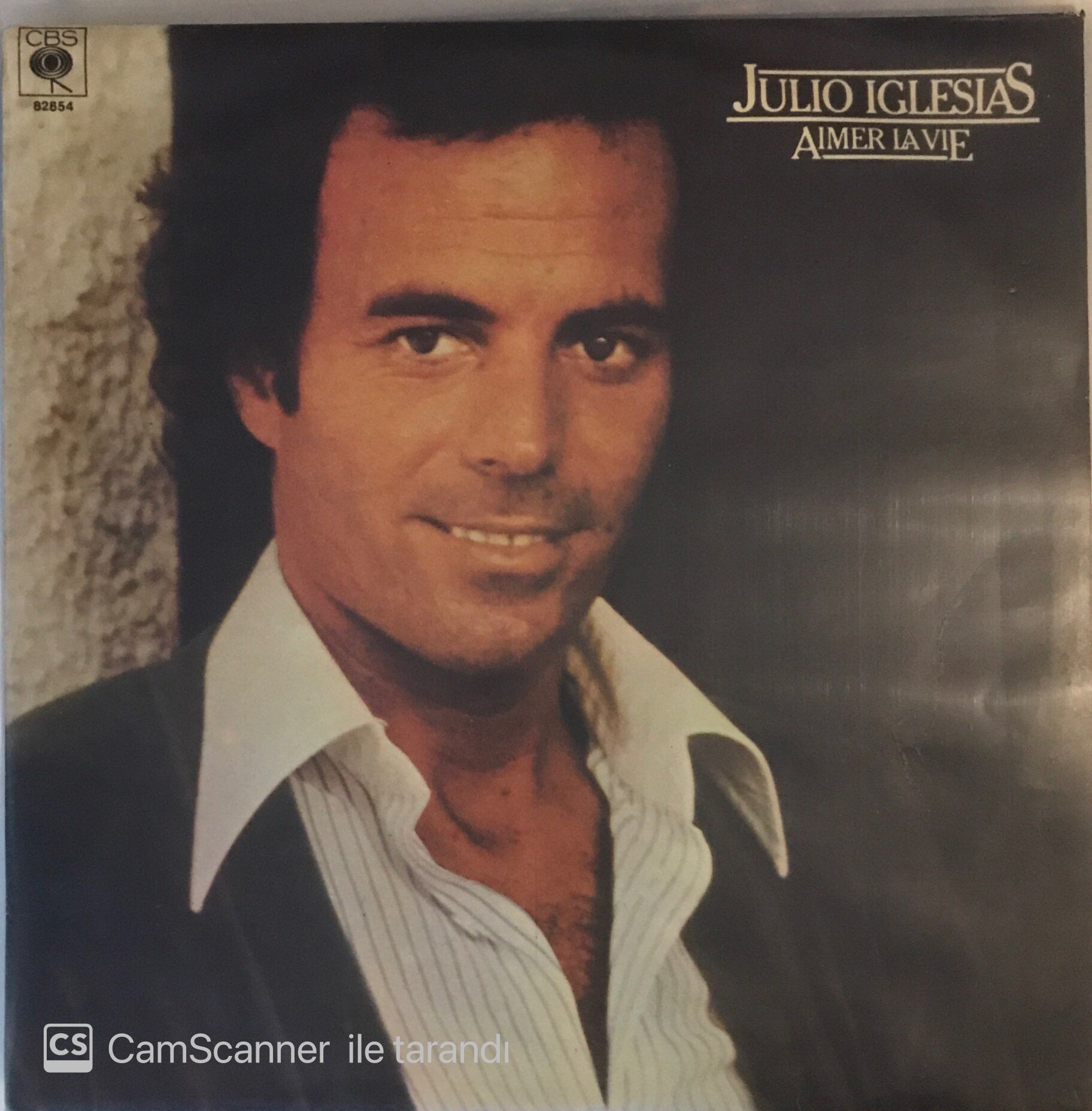 Julio Iglesias Aimer La Vie LP