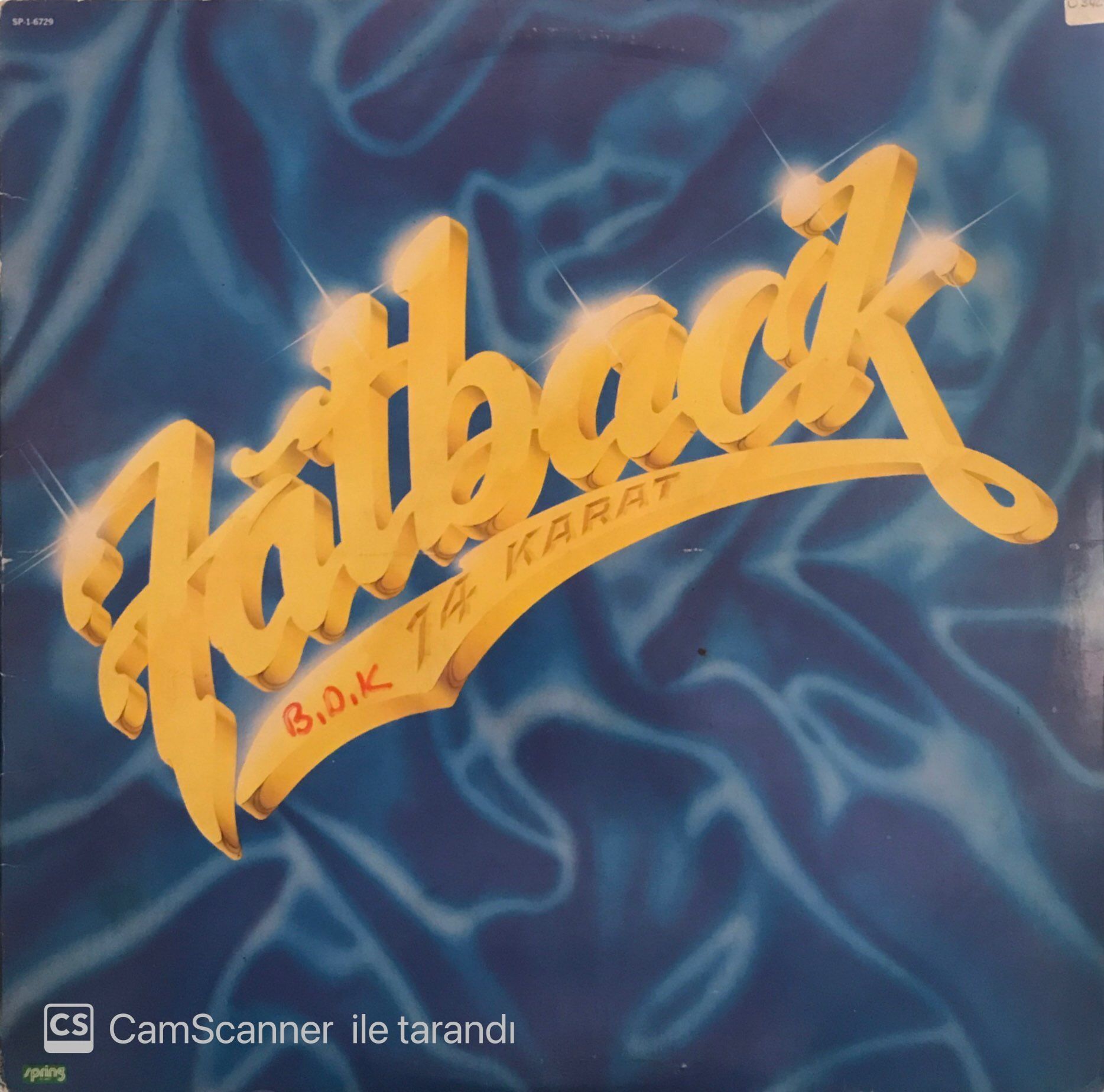 Fatback - 14 Karat LP