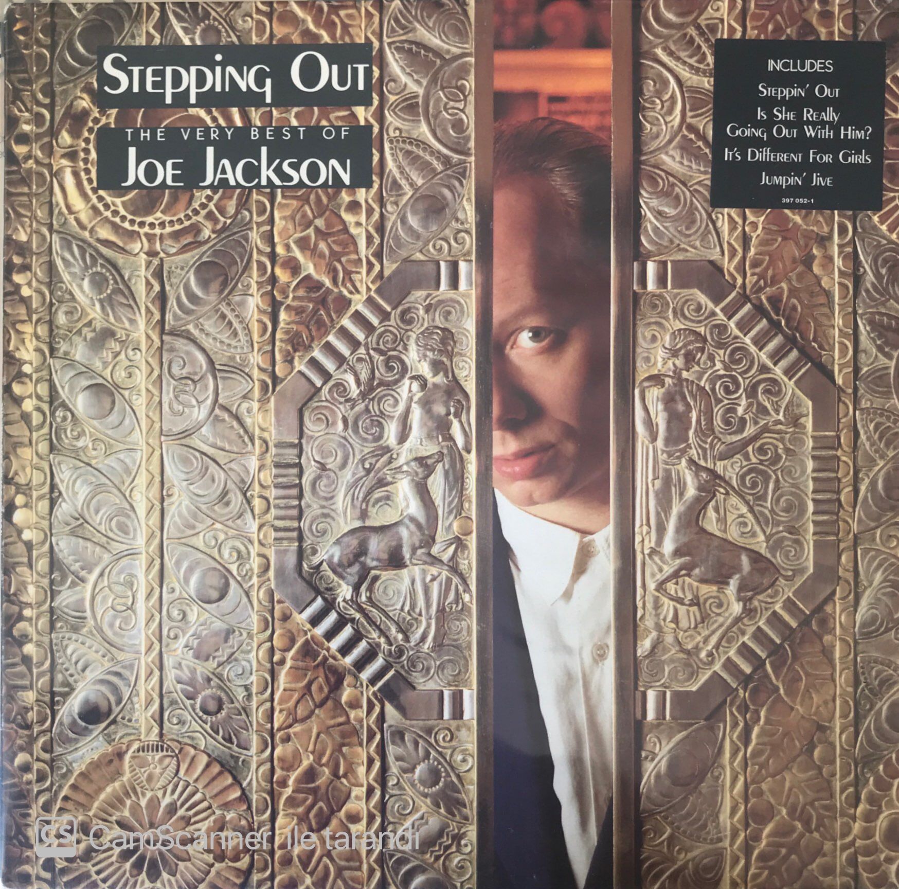 Joe Jackson Steppıng Out LP