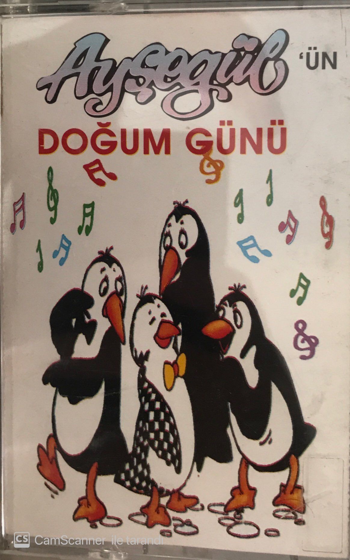 Ayşegül'ün Doğum Günü KASET