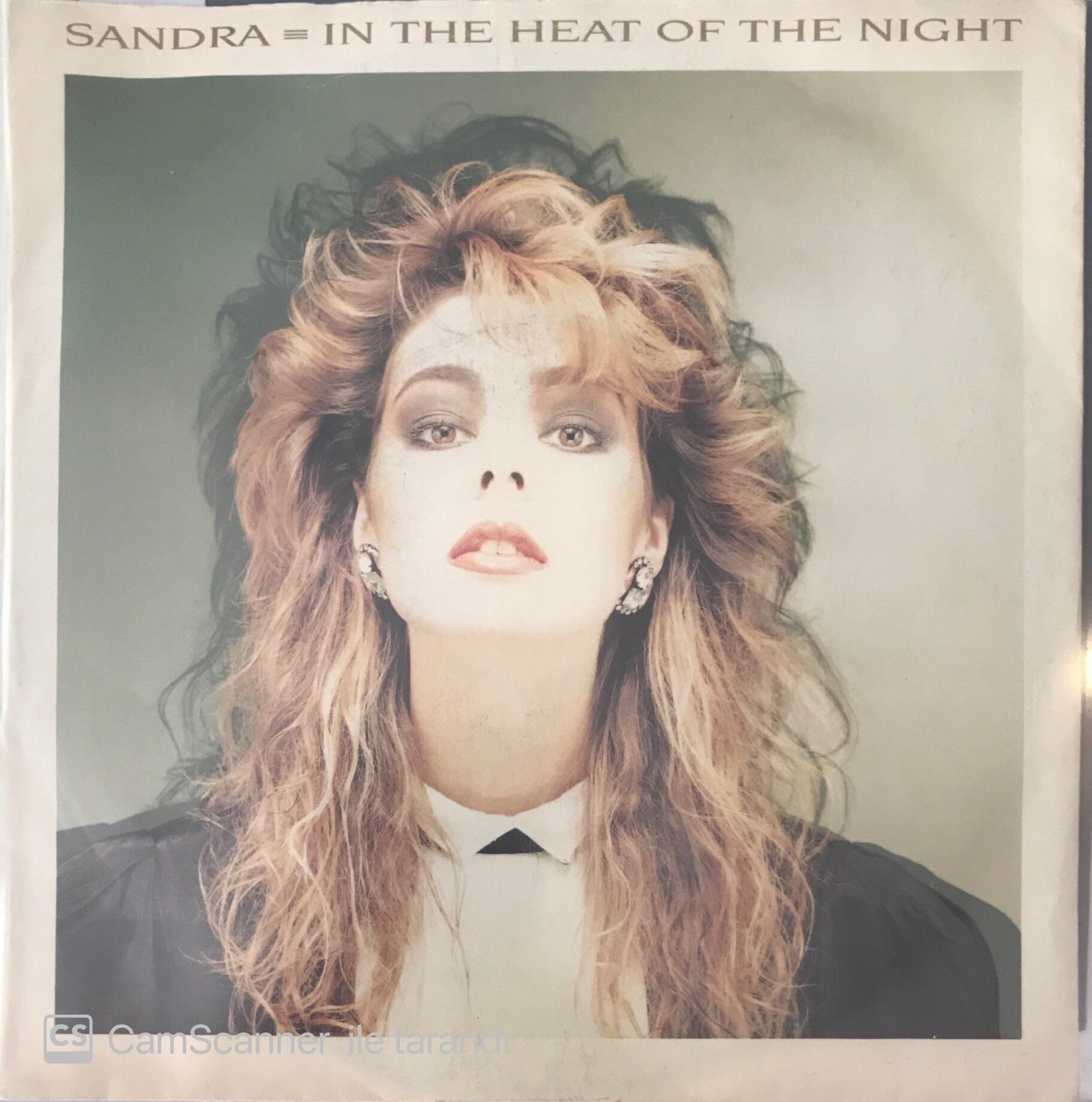 Sandra In The Heat Of The Night 45lik