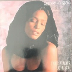 Whitney Houston I Will Always Love You 45lik