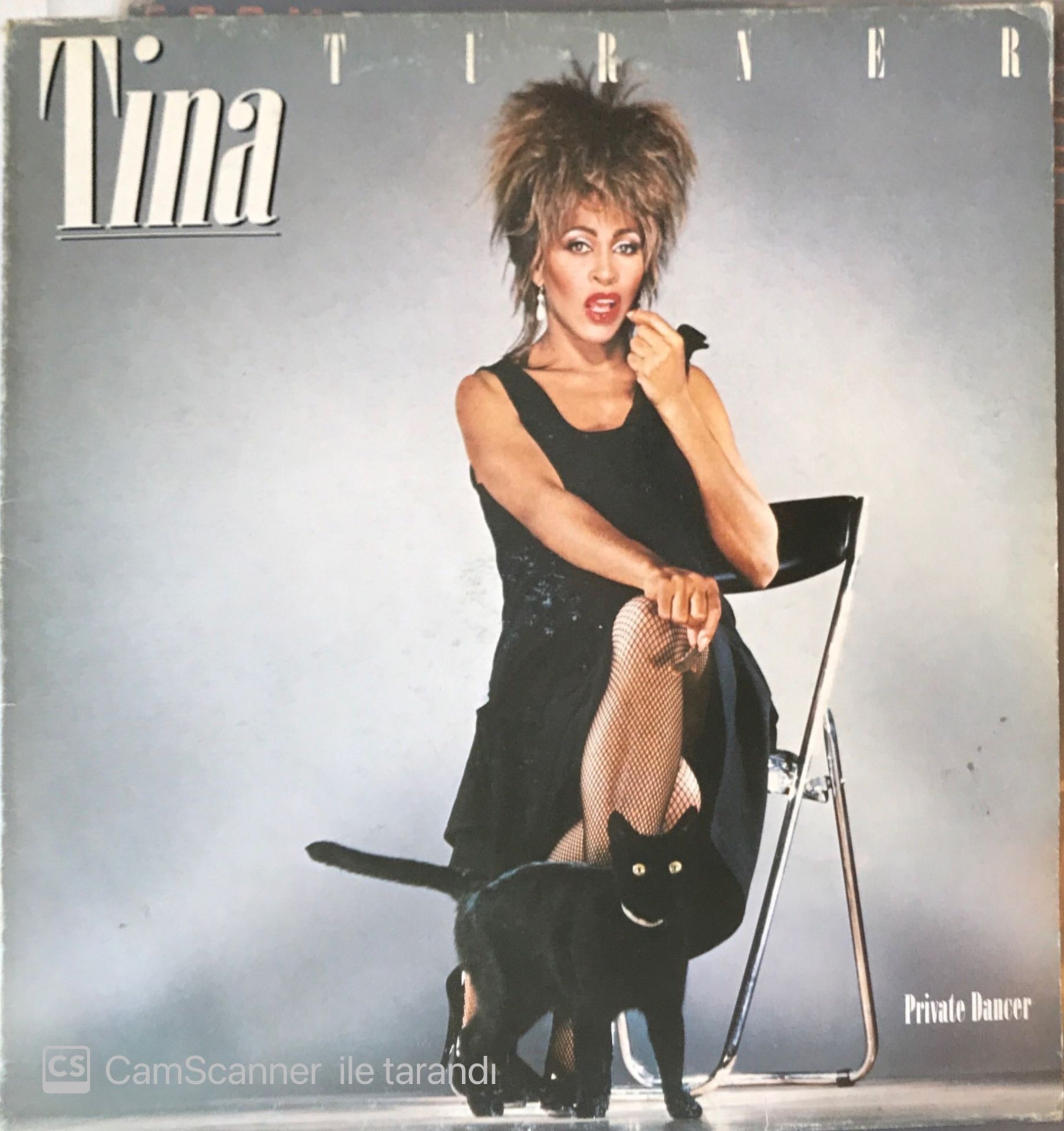 Tina Turner Private Dancer LP