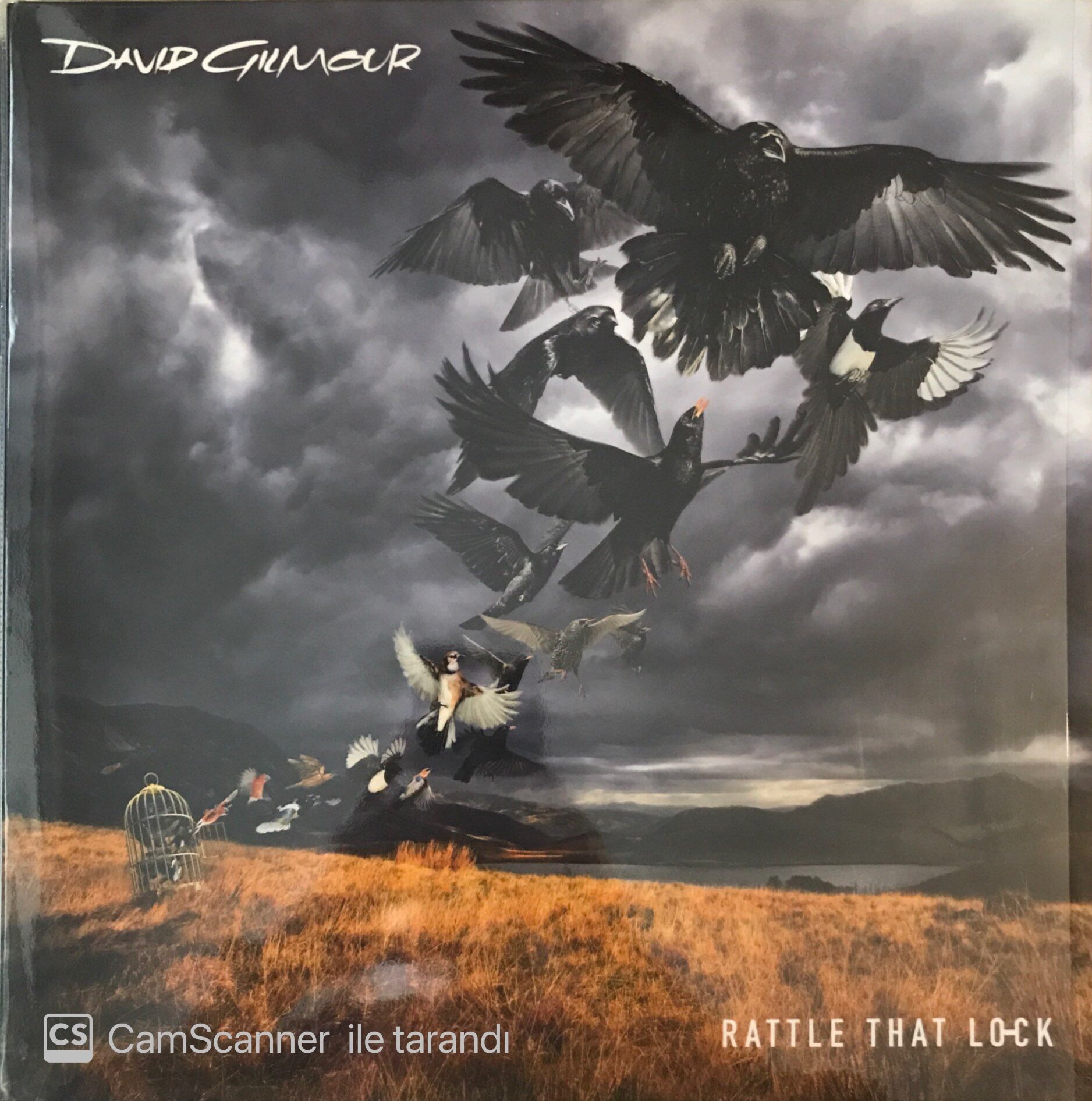 David Gilmour Rattle That Lock LP