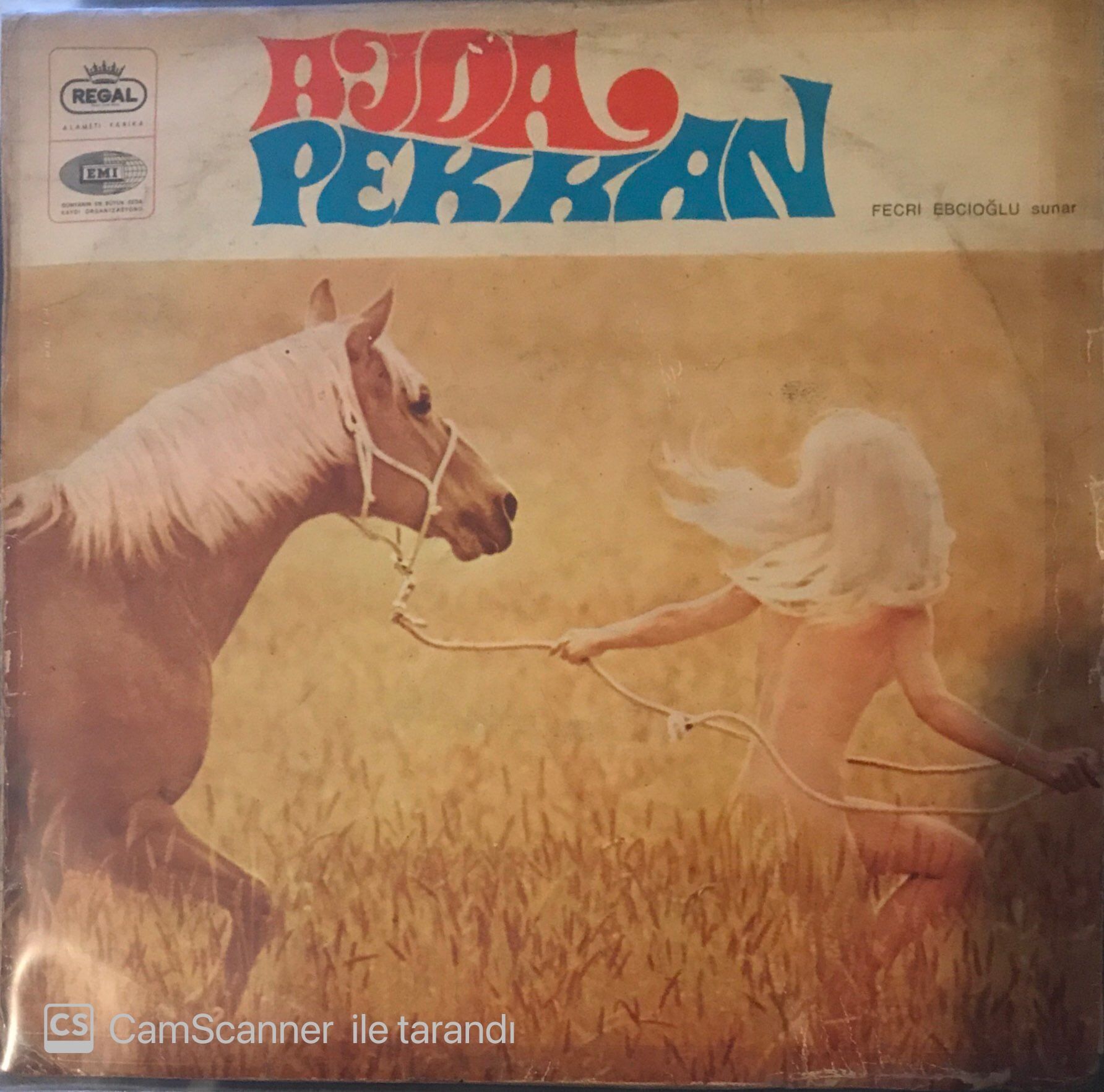 Ajda Pekkan Volume 3 LP