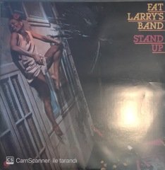 Fat Larry's Band Stand Up LP