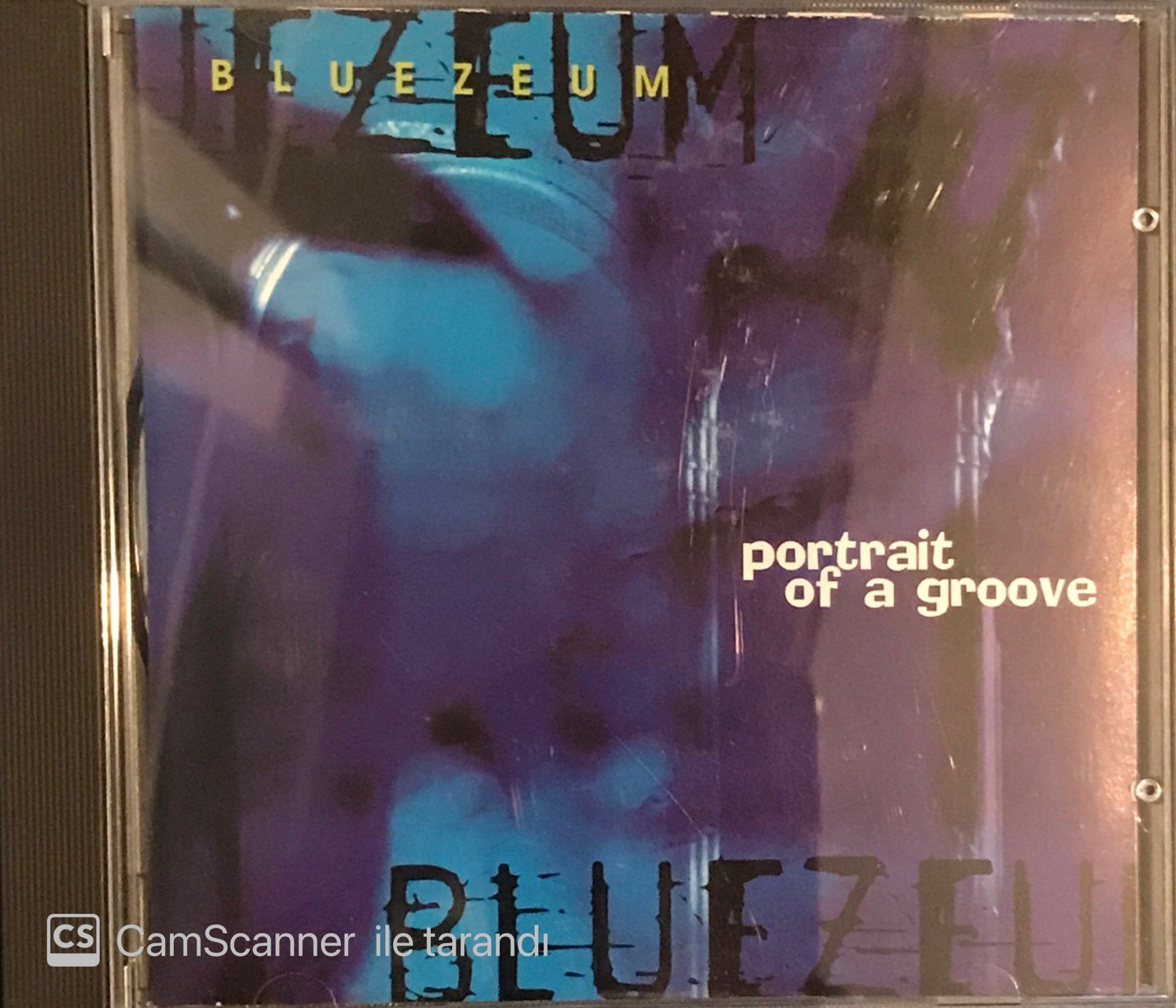 Bluezeum - Portrait Of a Groove CD