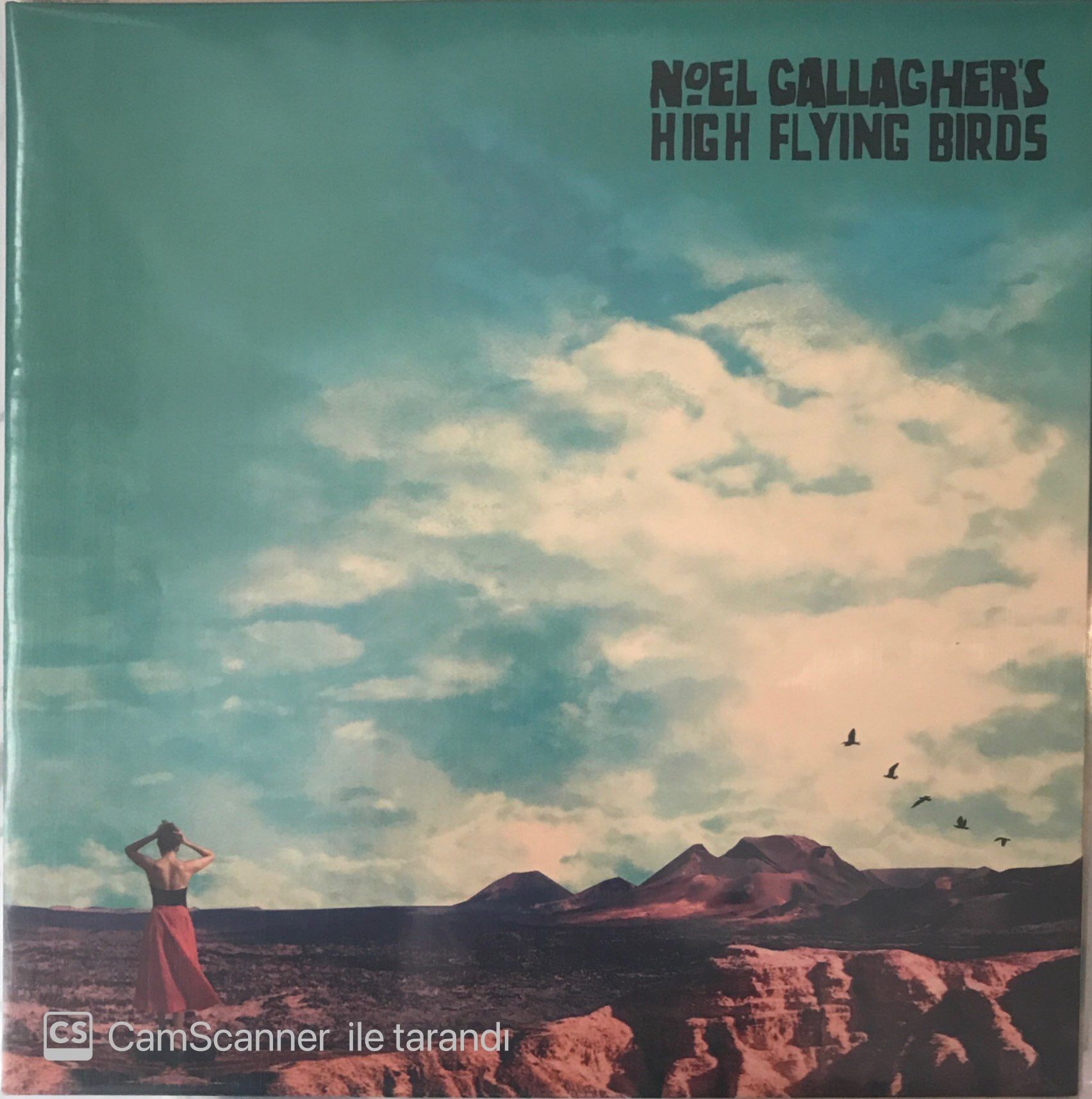 Noel Gallagher's High Flying Birds - Who Built The Moon? LP