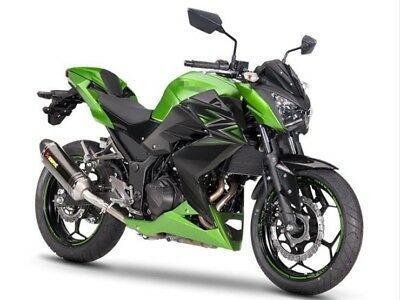 Kawasaki Z 250 Z300 Grenaj Seti 2015 2016 Moto11